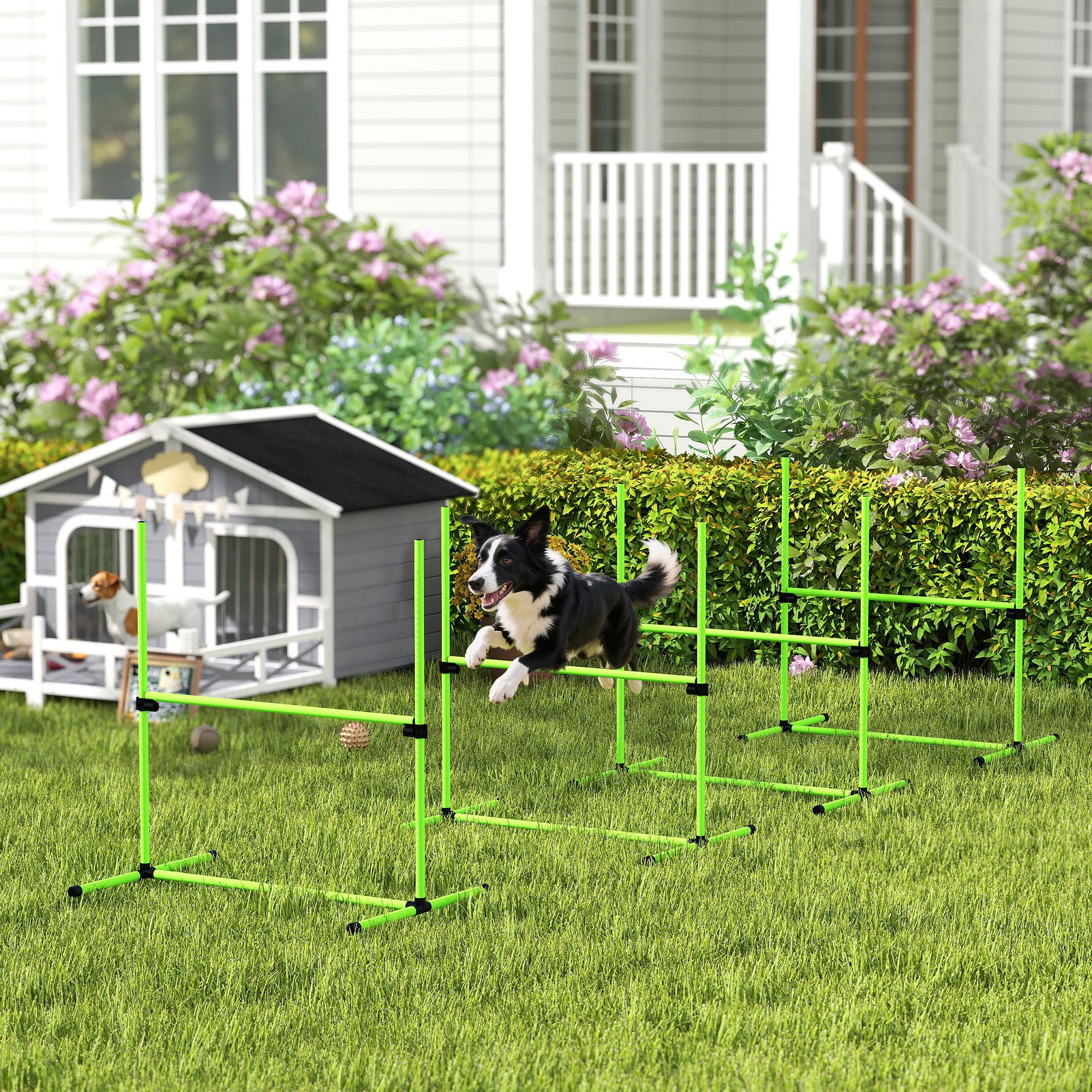 PawHut Agility-Hürde Agility Set höhenverstellbar Sprungstangen-Set mit Tragetasche, Kunststoff, Agility Set (4-tlg) für Hundetraining, Spiele Training, Grün