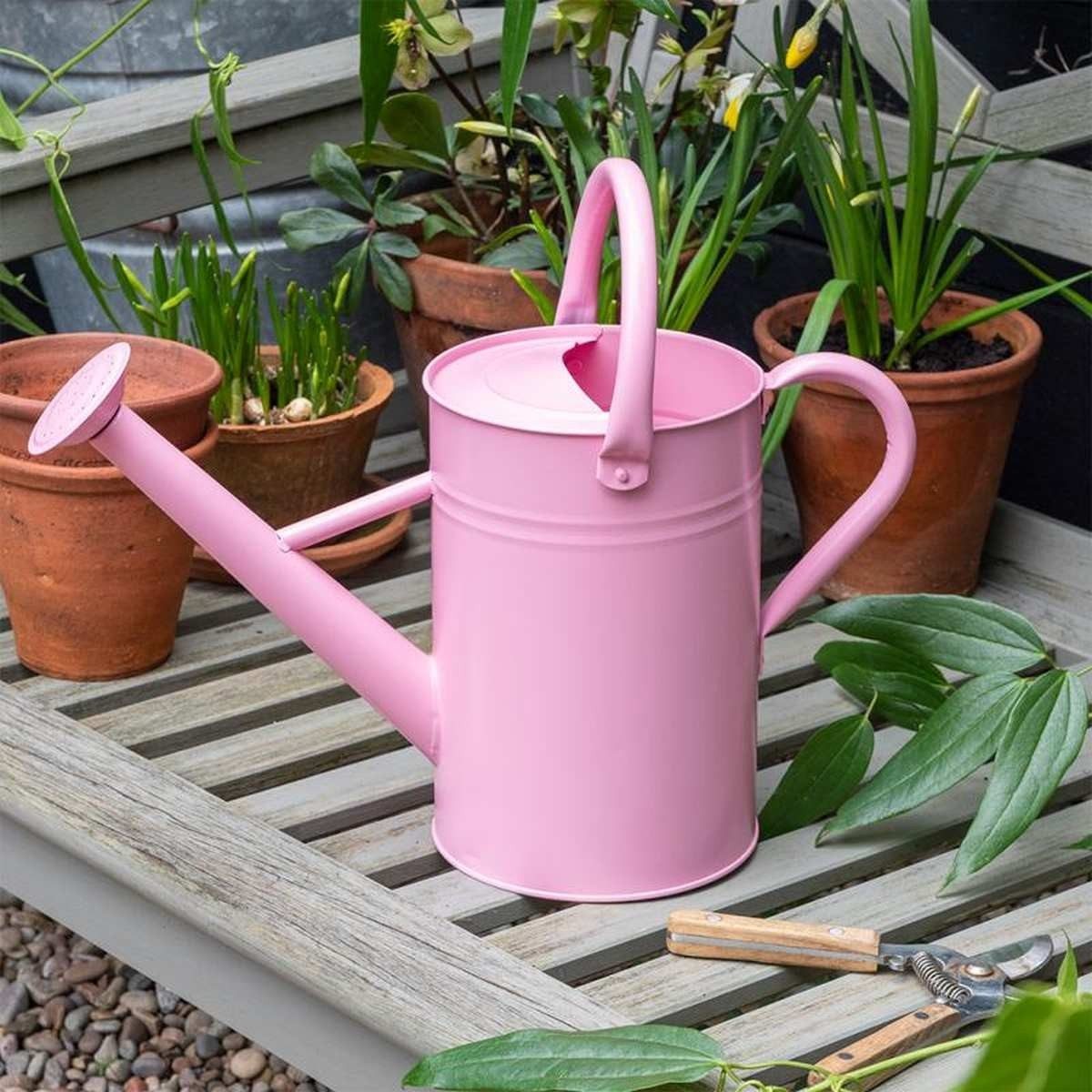 Rex London Gießkanne Gießkanne 4,5 L bunt verzinkter Stahl abschraubbarer Brausekopf