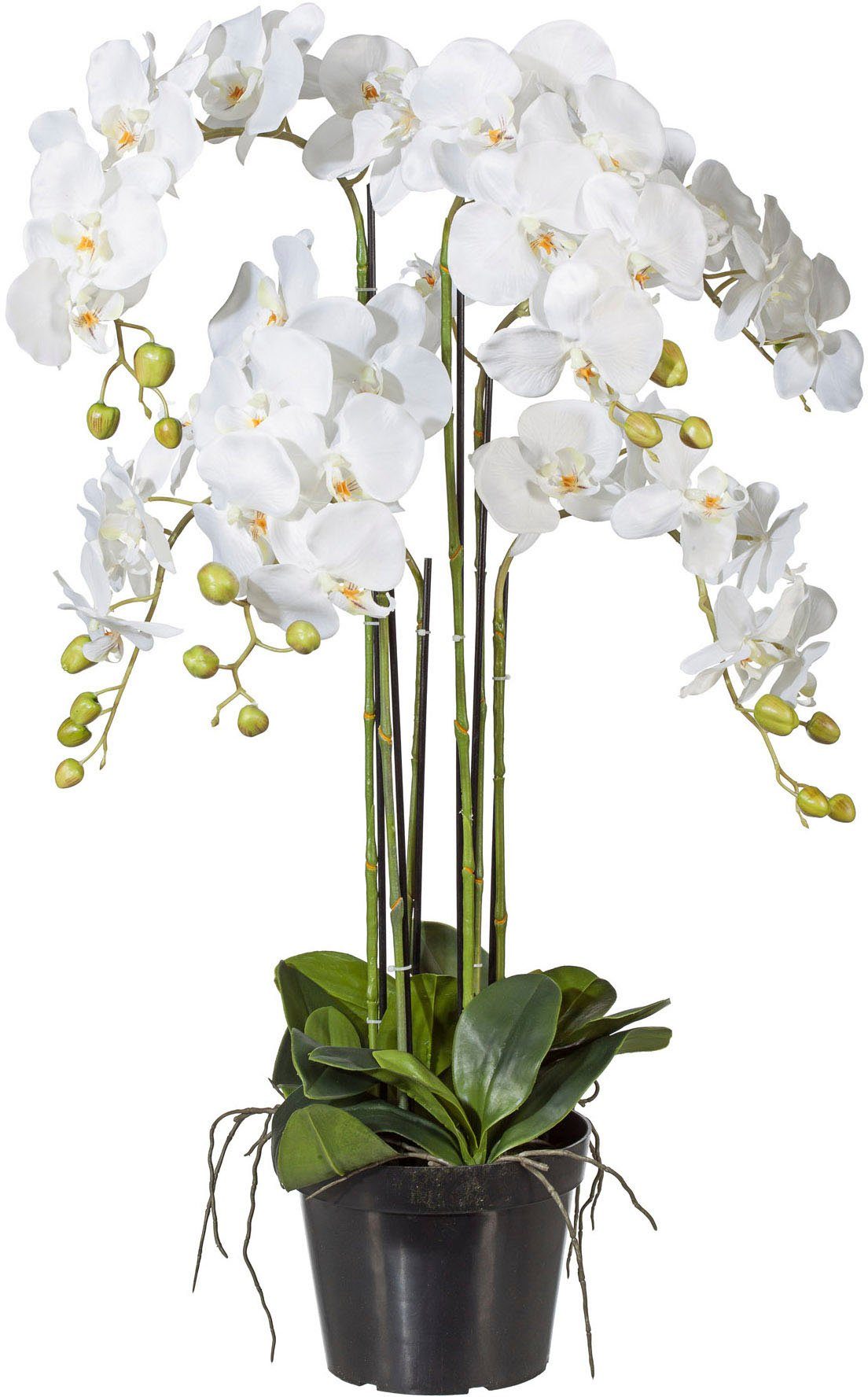 Kunstpflanze Orchidee, Creativ green, Höhe 90 günstig online kaufen
