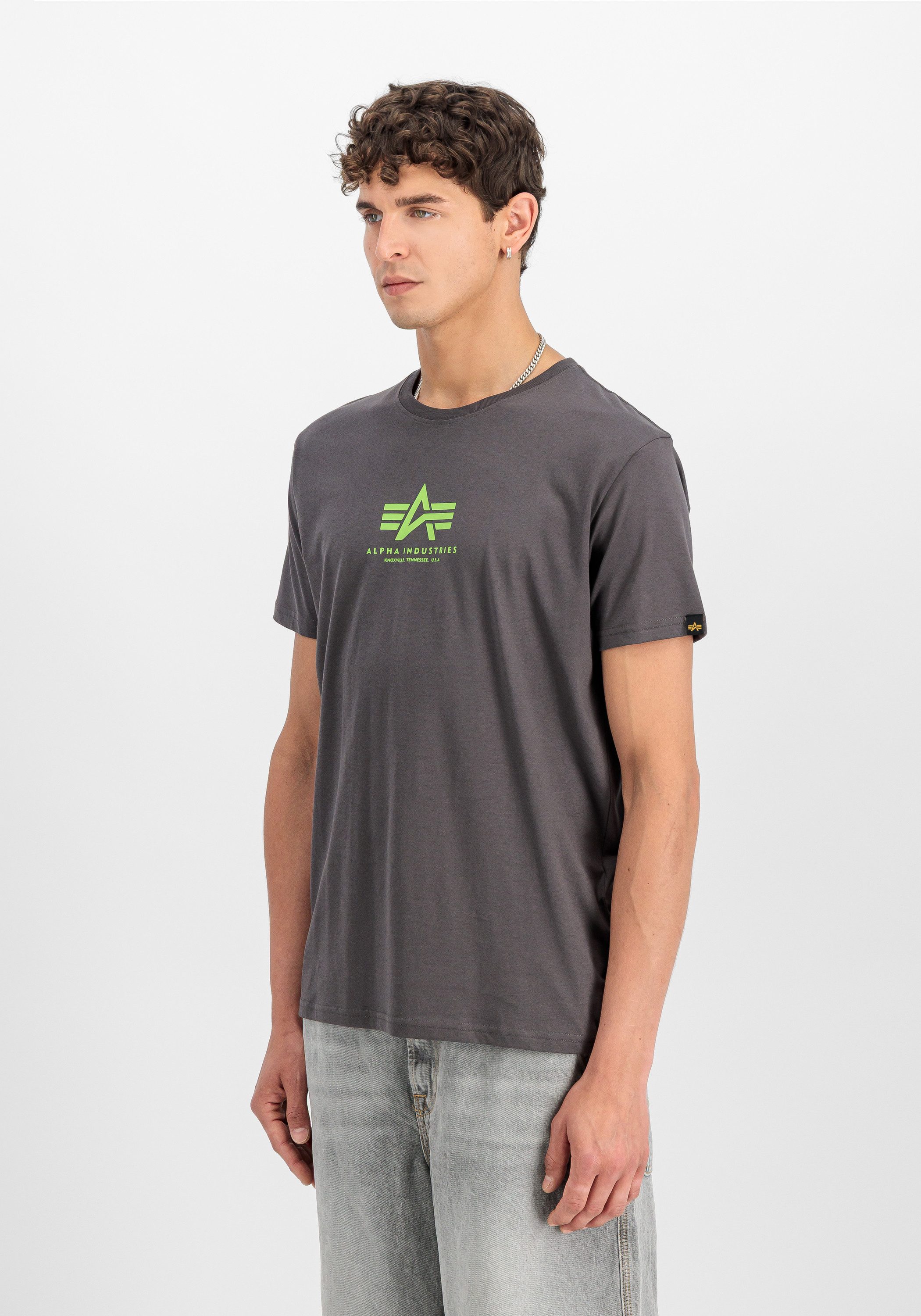 Alpha Industries T-Shirt Basic T-Shirt ML