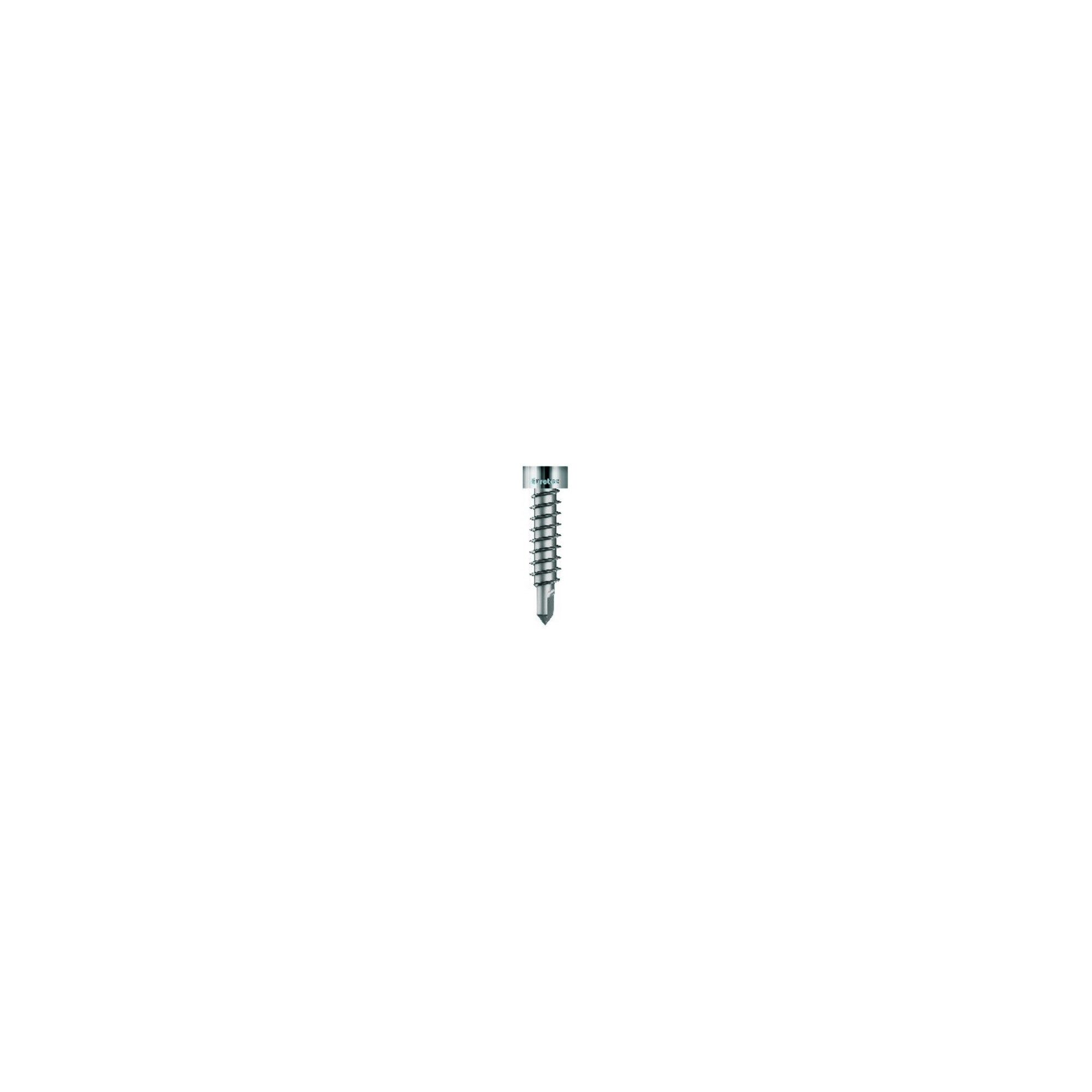 Eurotec Holzbauschraube Eurotec Thermofixschr. m. Bohrsp. Edelstahl geh. 4,2x22mm 100 Stk