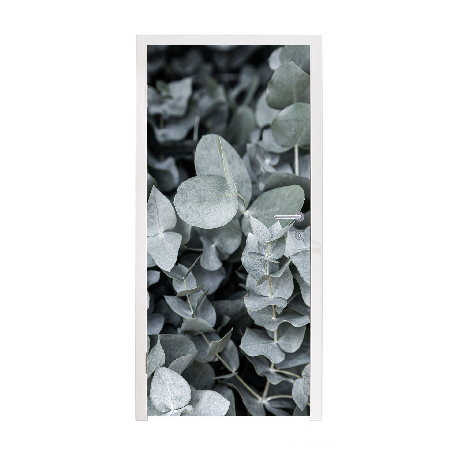 MuchoWow Türtapete Natur - Pflanzen - Eukalyptus - Blätter, Matt, bedruckt, (1 St), Fototapete für Tür, Türaufkleber, 75x205 cm