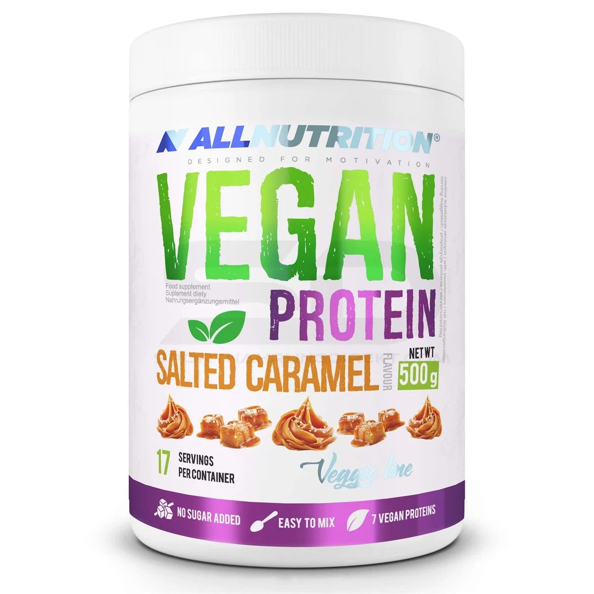 Protein Whey VEGAN VEGETARISCH EIWEIß Pulver (500g) Pulver