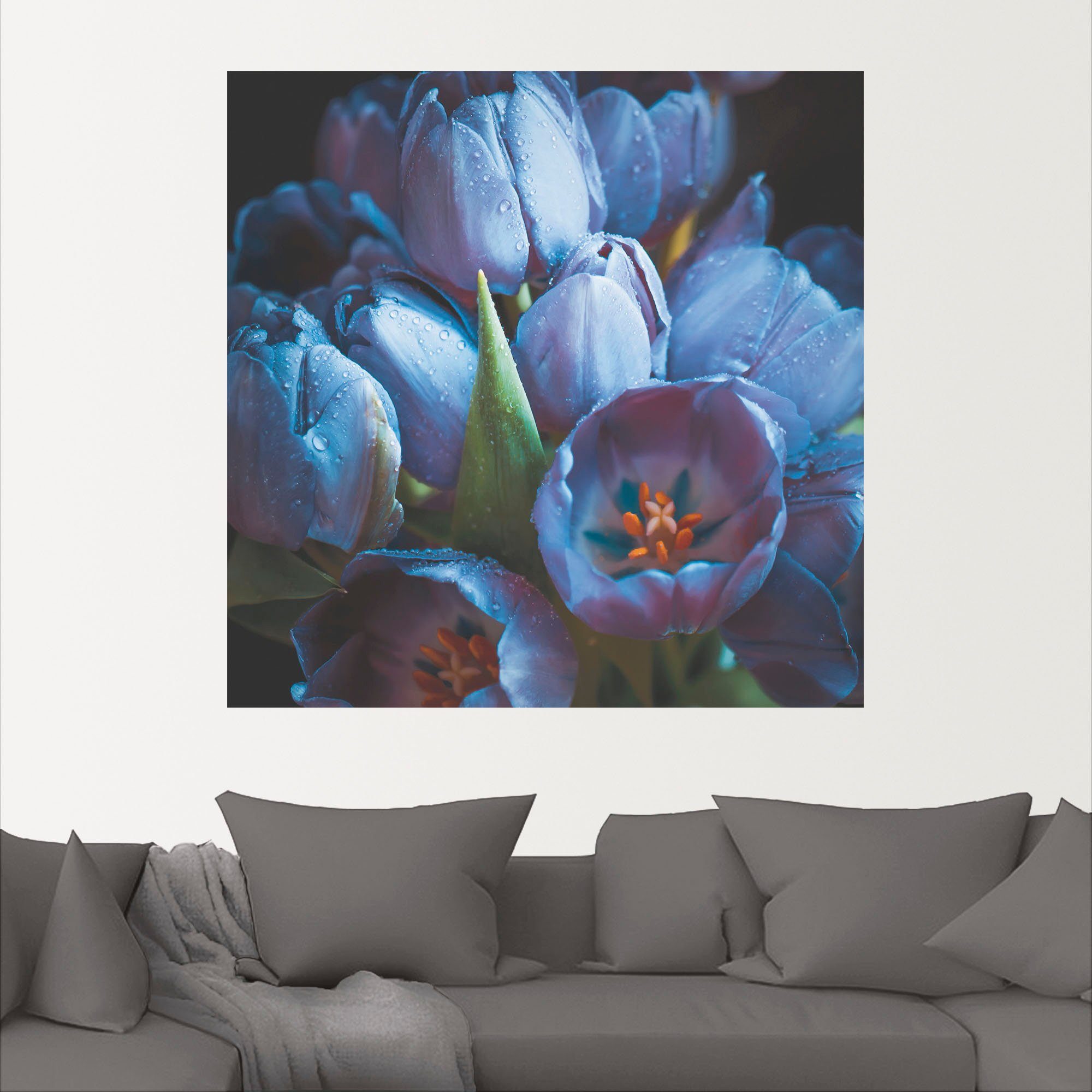 oder in Artland (1 St), Alubild, versch. Tulpen, Wandaufkleber Leinwandbild, Blumen Größen Wandbild als Poster