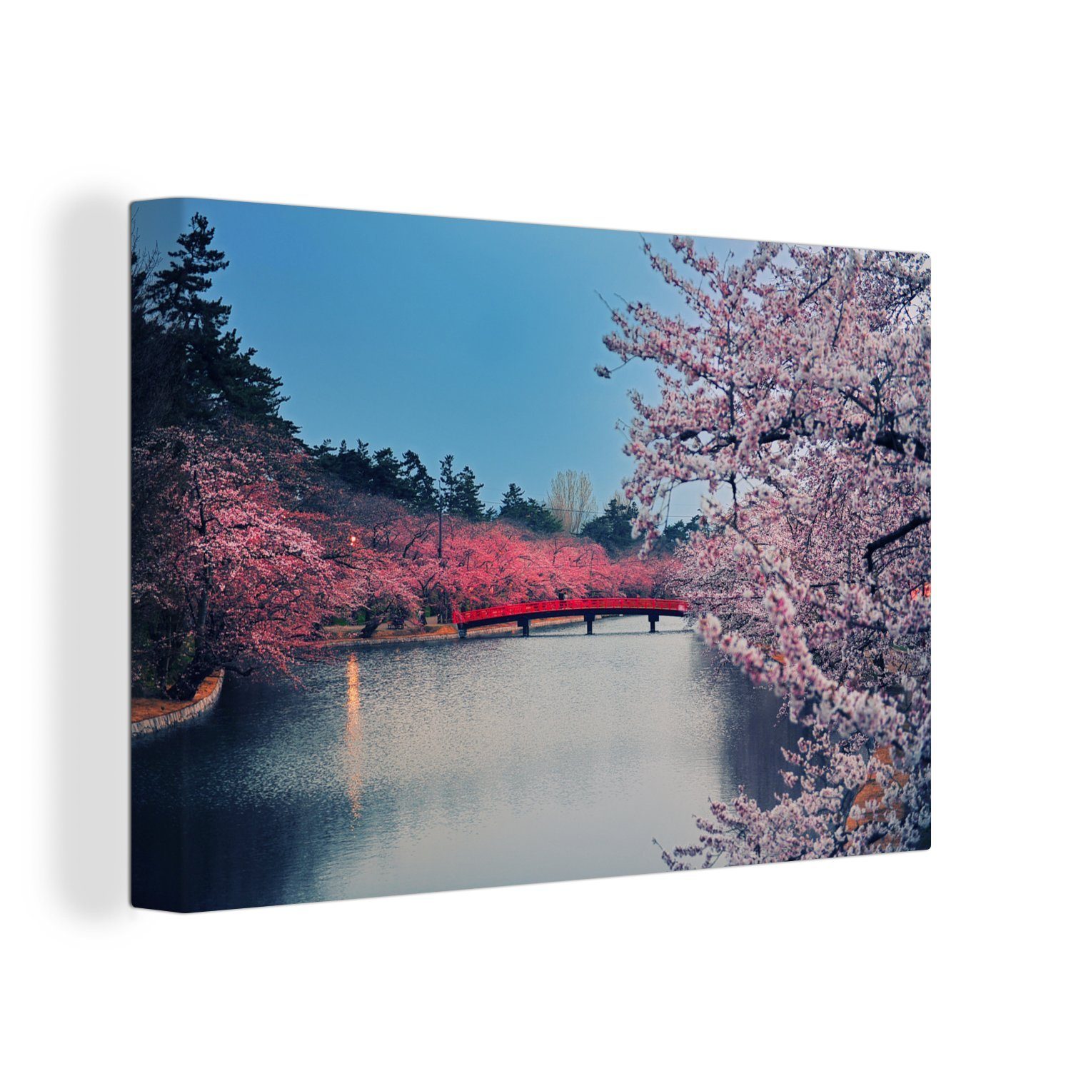 OneMillionCanvasses® Leinwandbild Kirschblütenpark, (1 St), Wandbild Leinwandbilder, Aufhängefertig, Wanddeko, 30x20 cm
