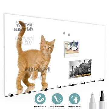 Primedeco Garderobenpaneel Magnetwand und Memoboard aus Glas Kätzchen vor heller Wand