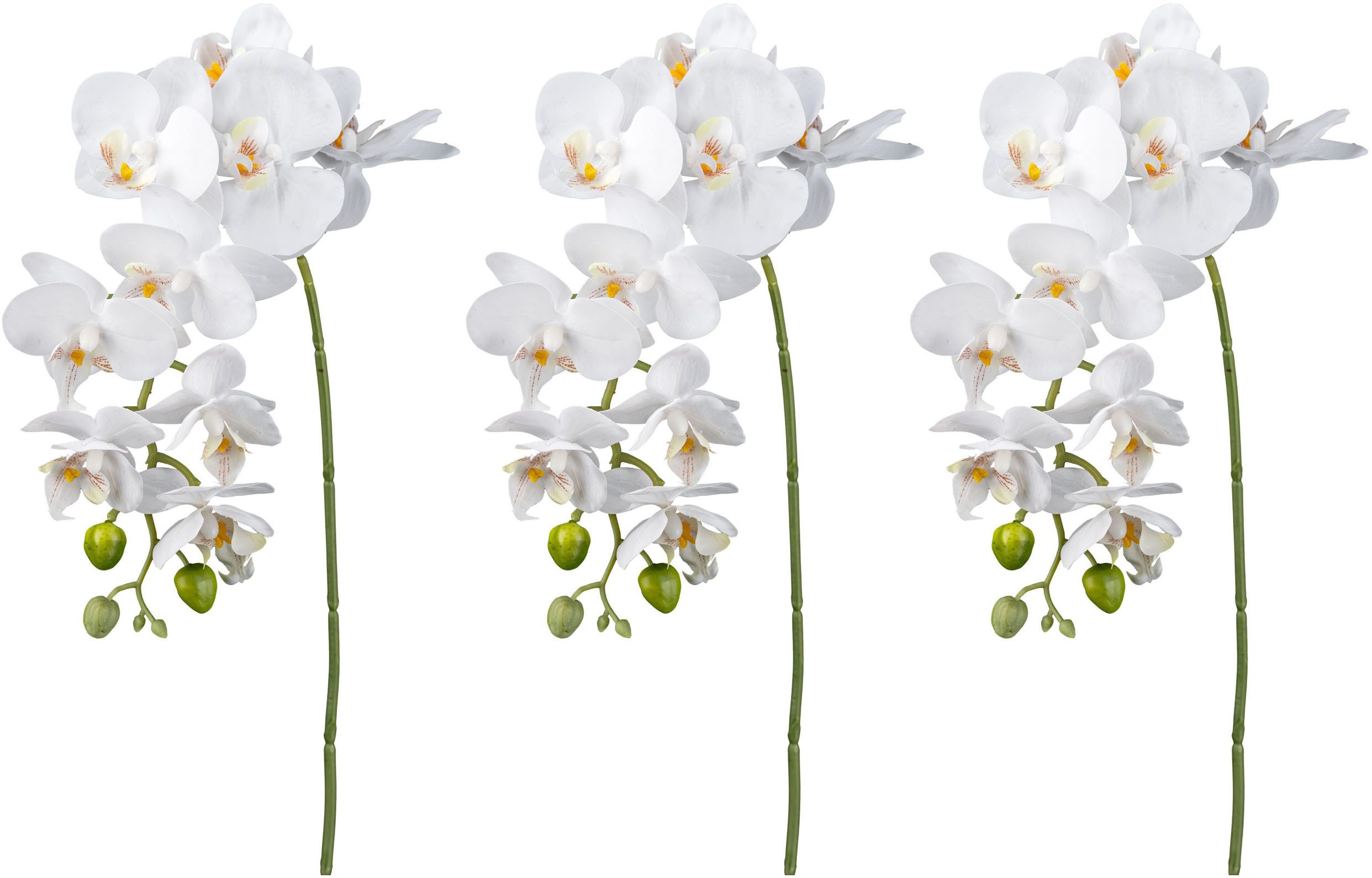 Creativ green Kunstorchidee "Orchidee Phalaenopsis", mit real-touch-Blüten günstig online kaufen