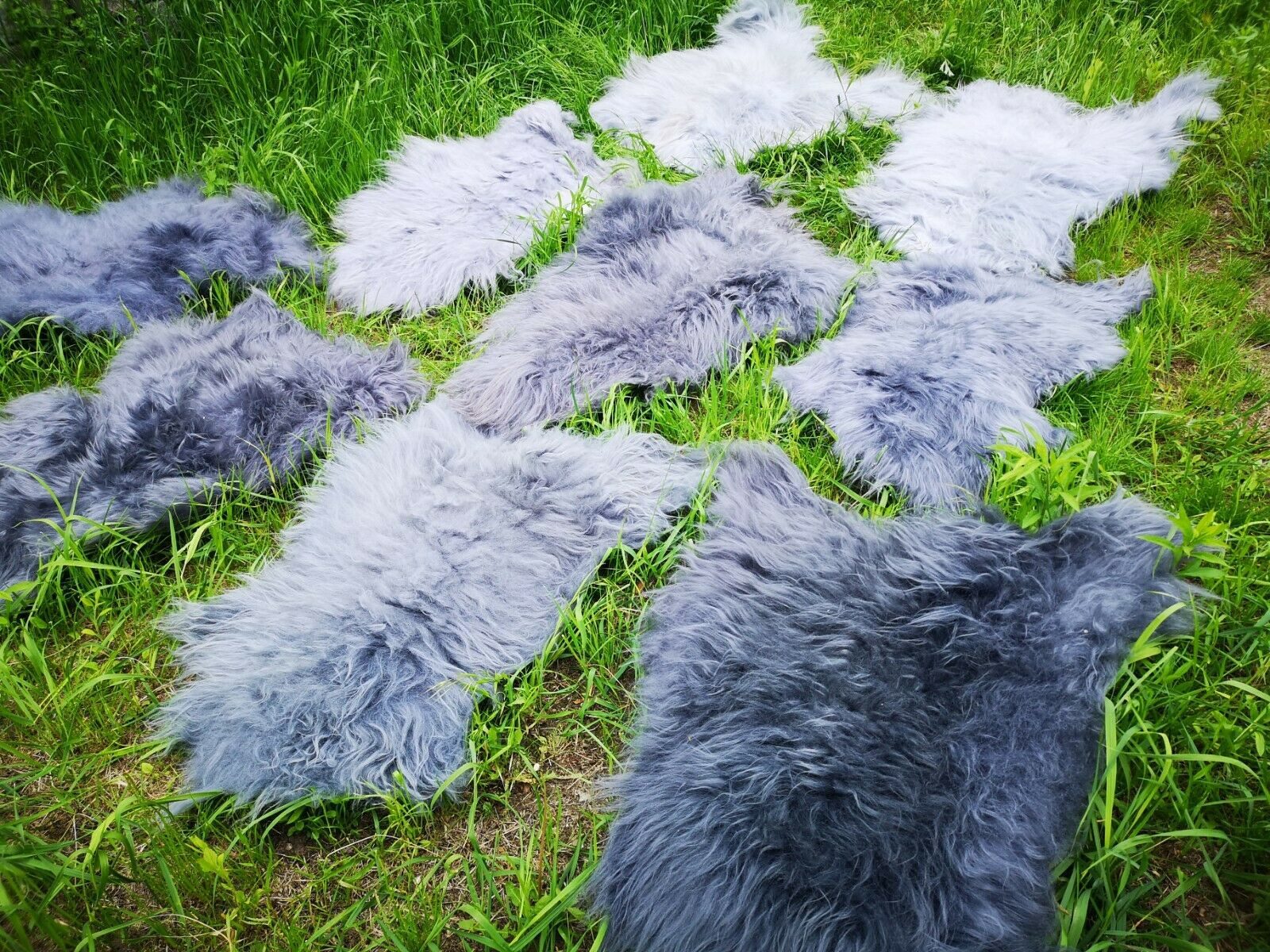 Provellus Fellteppich Island Lammfell grau – ca. 110 cm – Öko gegerbt – Weich & langhaarig