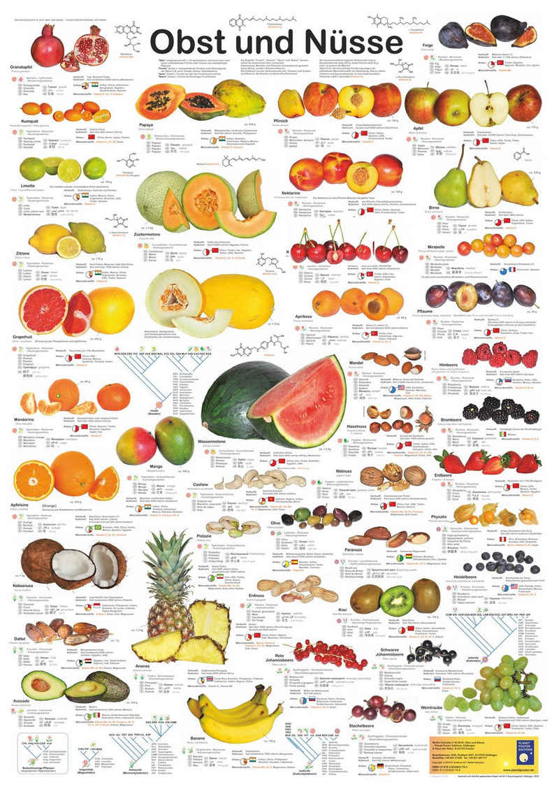 Close Up Poster Obst und Nüsse Poster deutsch DIN A1 59,4 x 84,1 cm