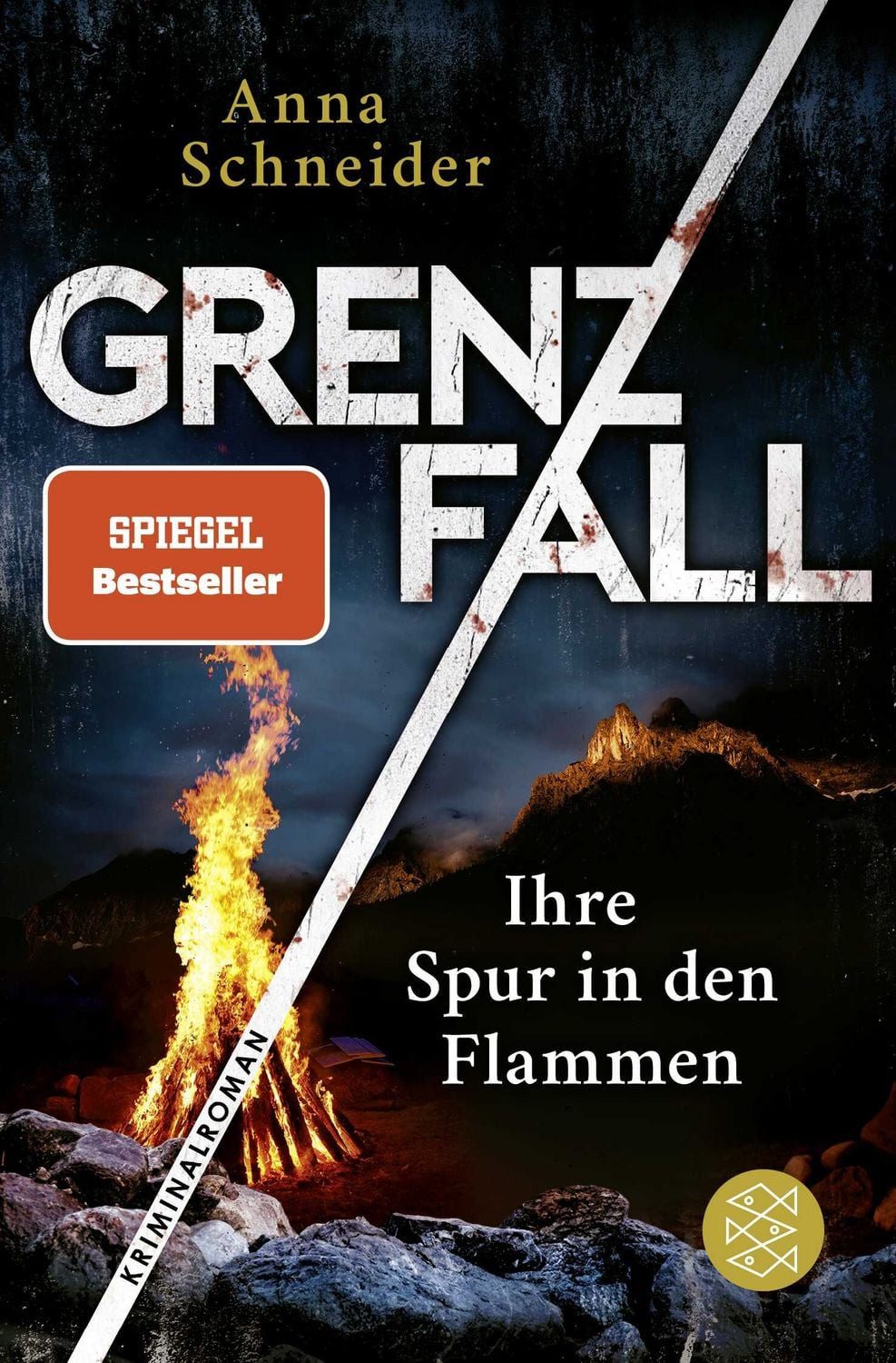 Grenzfall – Ihre Spur in den Flammen / Anna Schneider