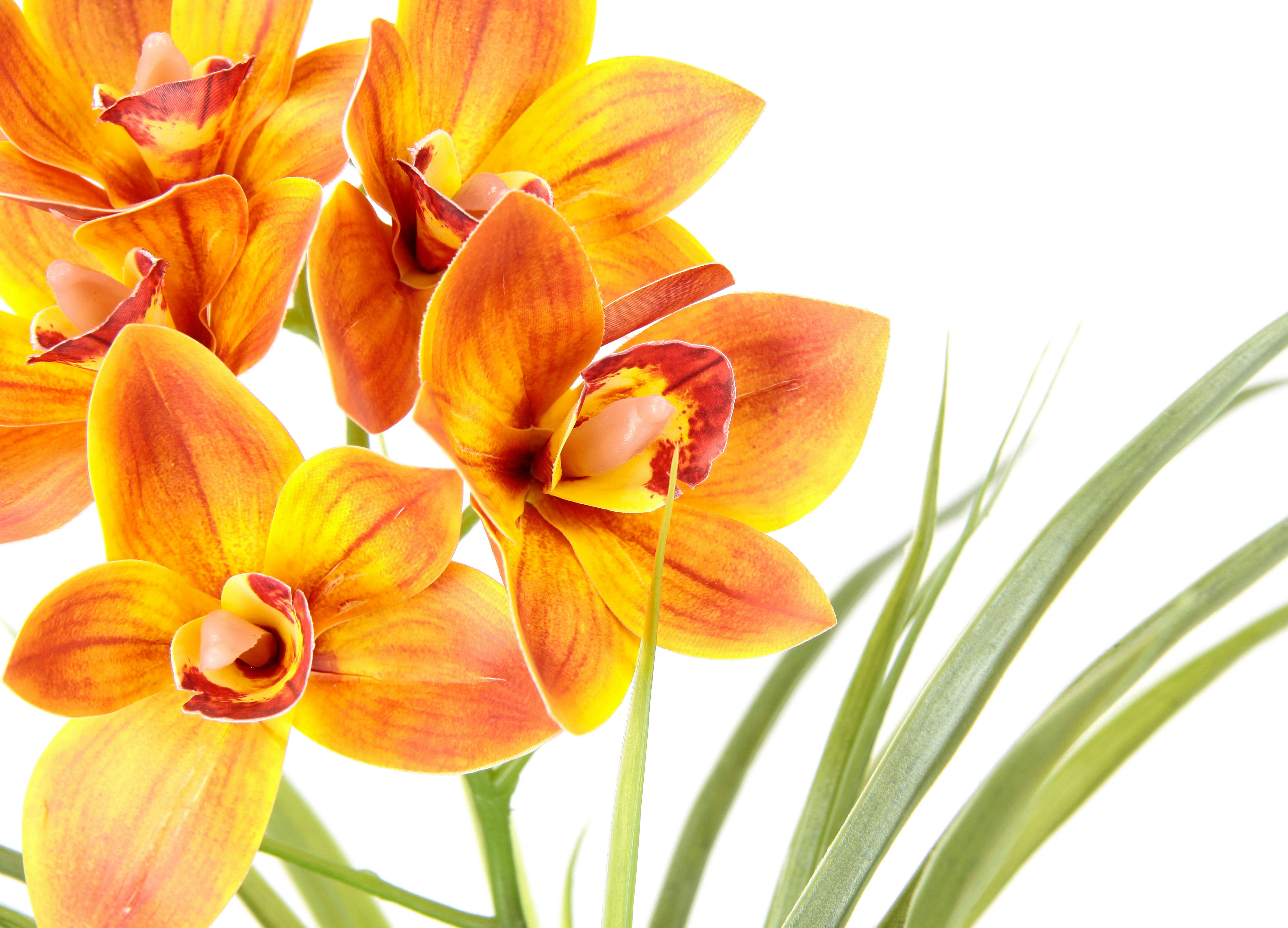 Kunstblume Orchidee, my home, Höhe 40 günstig online kaufen