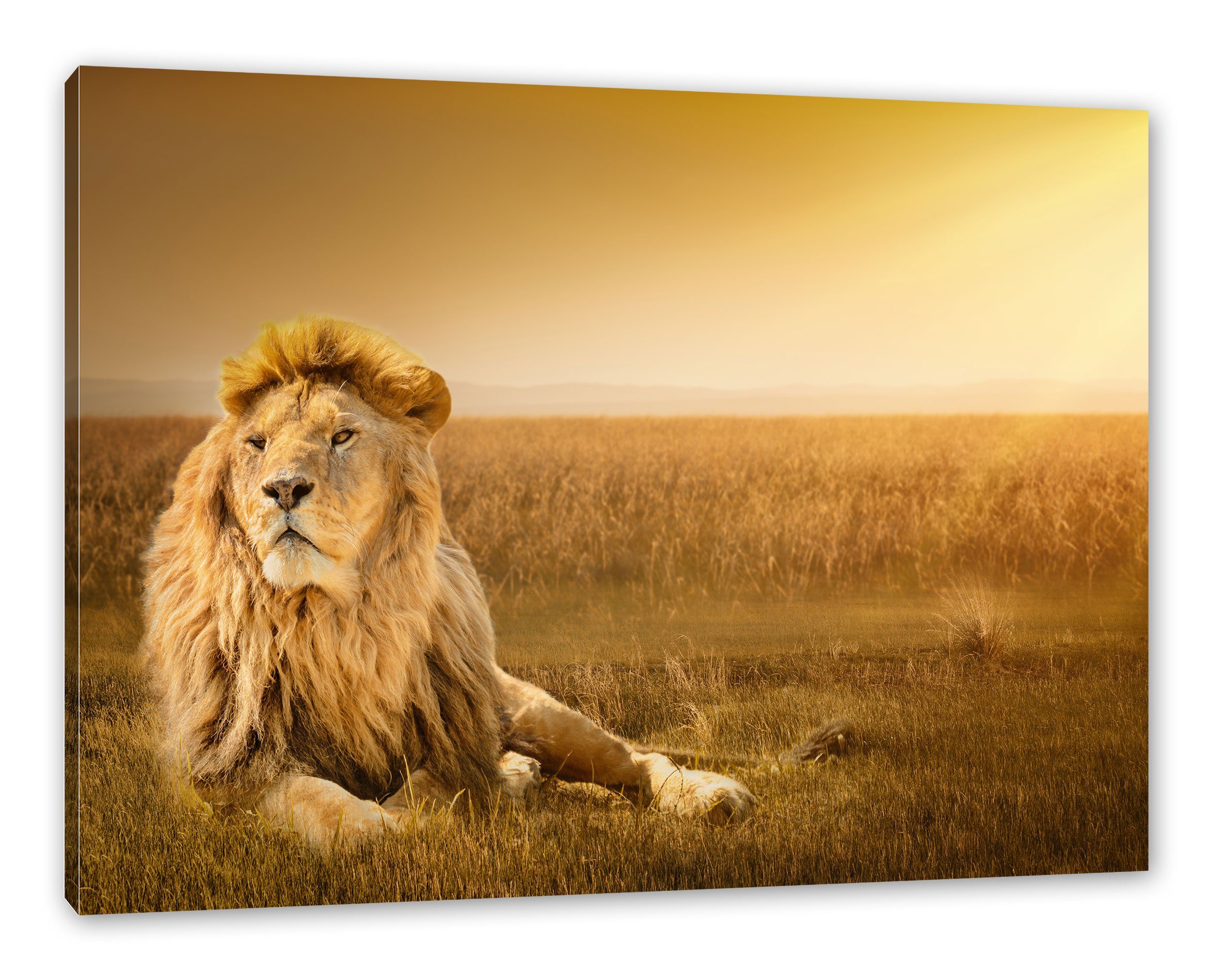 Pixxprint Leinwandbild Majestätischer Löwe, Majestätischer Löwe (1 St), Leinwandbild fertig bespannt, inkl. Zackenaufhänger