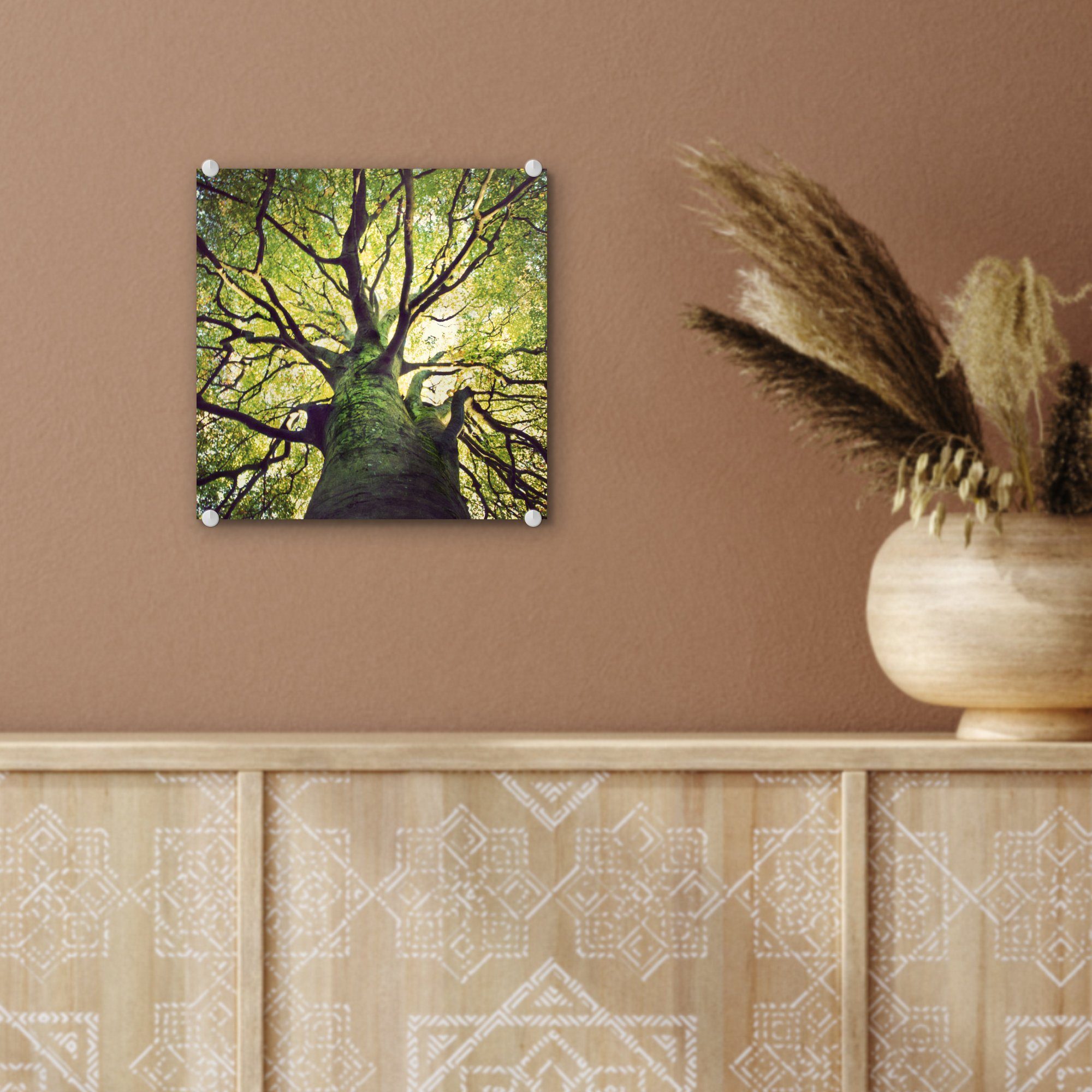 MuchoWow Acrylglasbild Beruhigende Zweige - auf (1 St), Glasbilder grünen Wanddekoration Wandbild - Foto auf - Glas Bilder Glas eines Baumes