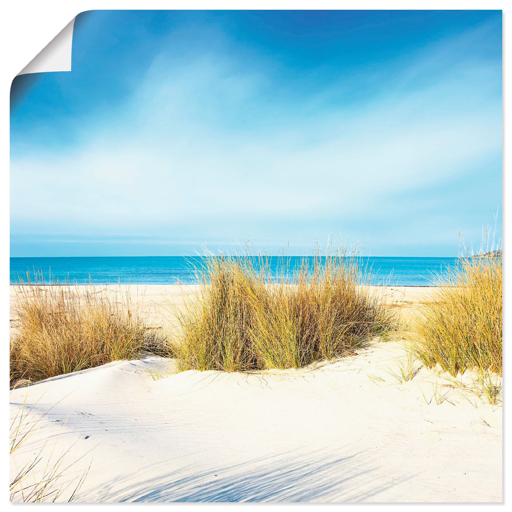 Artland Wandbild Gras auf Sanddünen, Strand (1 St), als Alubild, Leinwandbild, Wandaufkleber oder Poster in versch. Größen
