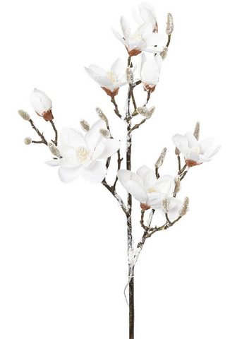 Creativ light LED Dekolicht Weihnachtsdeko Magnolie ...