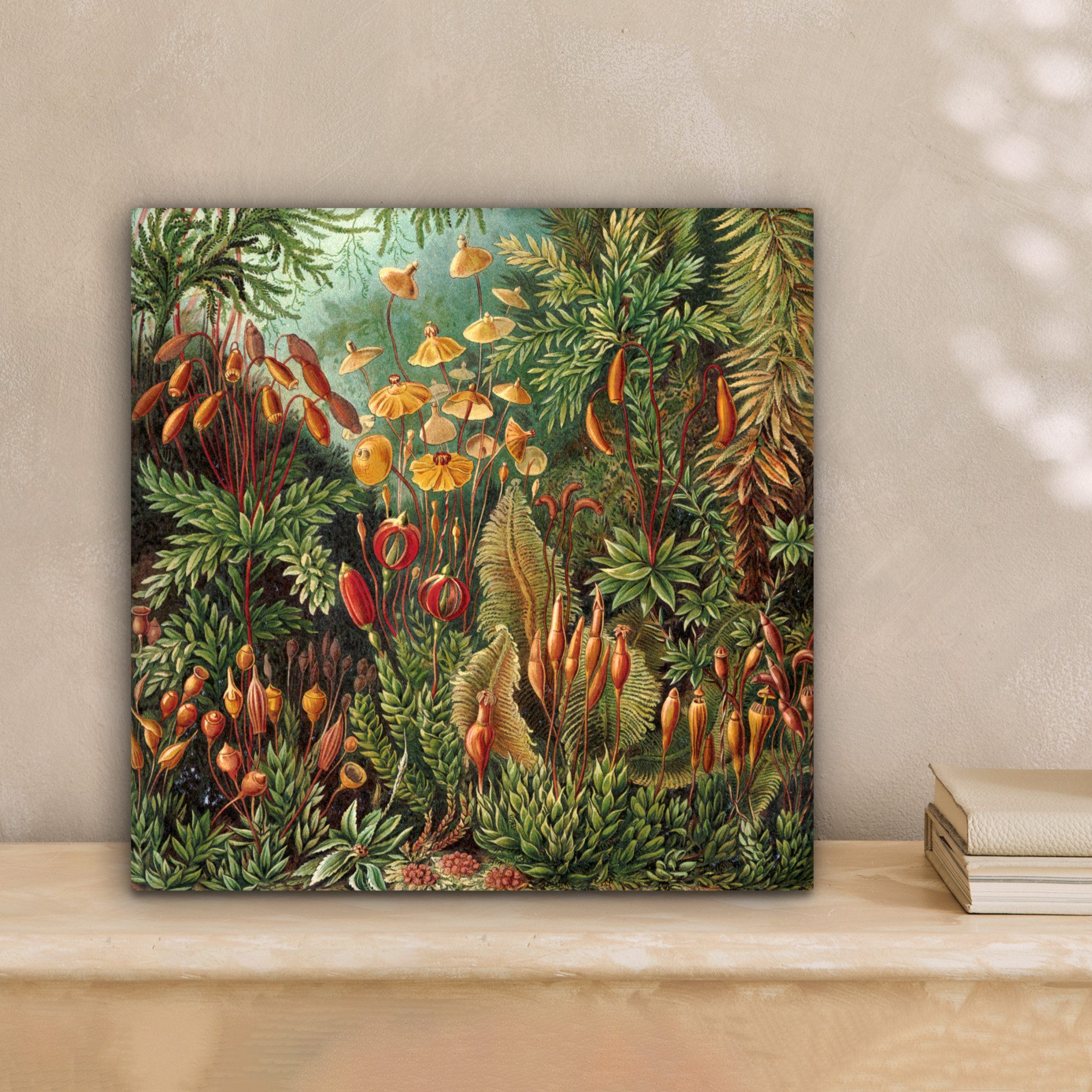 OneMillionCanvasses® Leinwandbild Muscinae - Ernst Haeckel günstig online kaufen