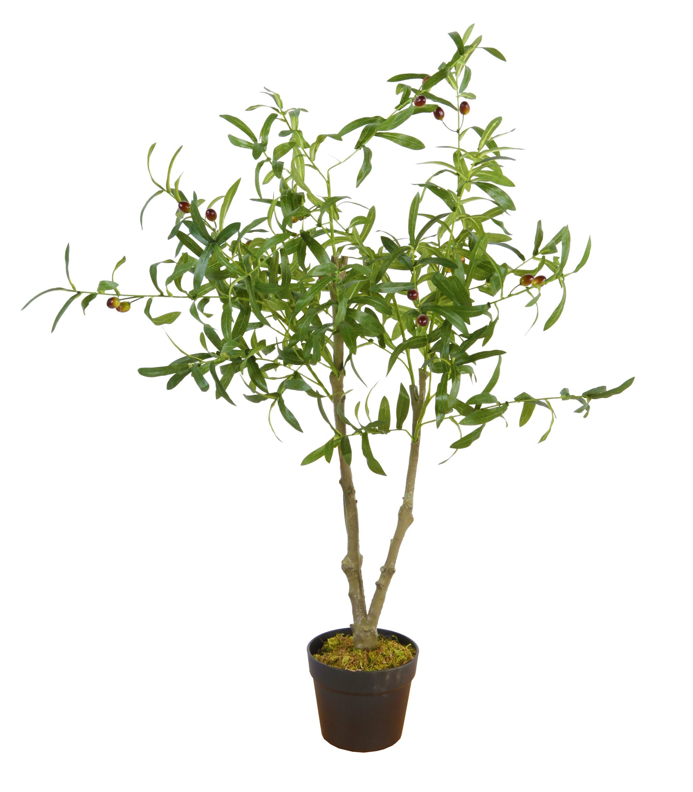 Künstliche Zimmerpflanze Kunstpflanze im Blumentopf 105 günstig online kaufen