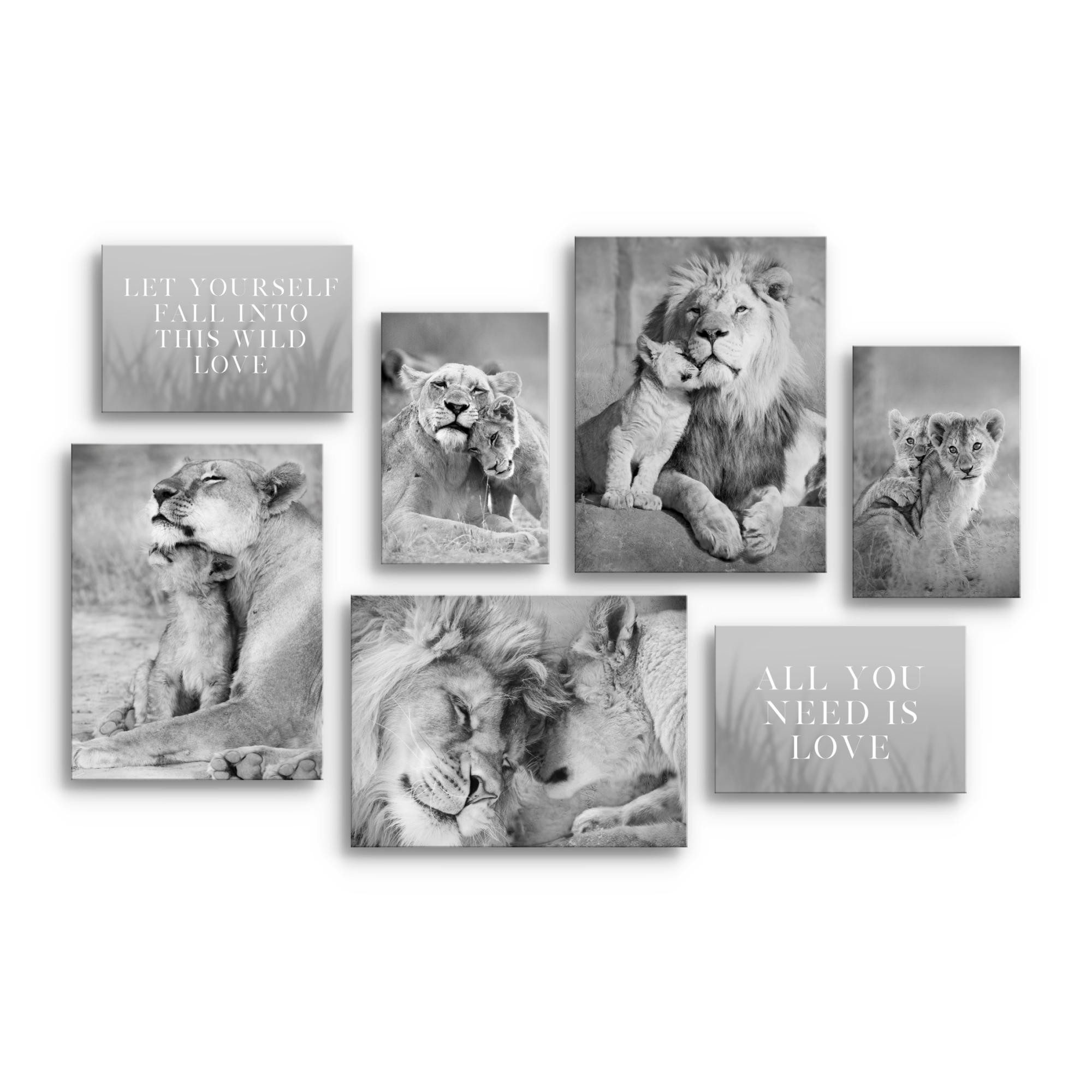 Novart Wandbild Löwen, Farbig oder Schwarzweiß günstig online kaufen