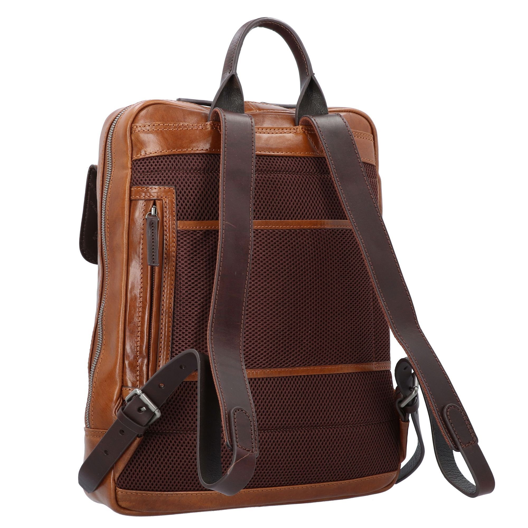 Castelijn Rien, & Laptoprucksack Beerens Leder braun