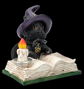 Figuren Shop GmbH Fantasy-Figur Hexen Katzen Figur - Familiars Spell - Fantasy Dekofigur Tierfigur