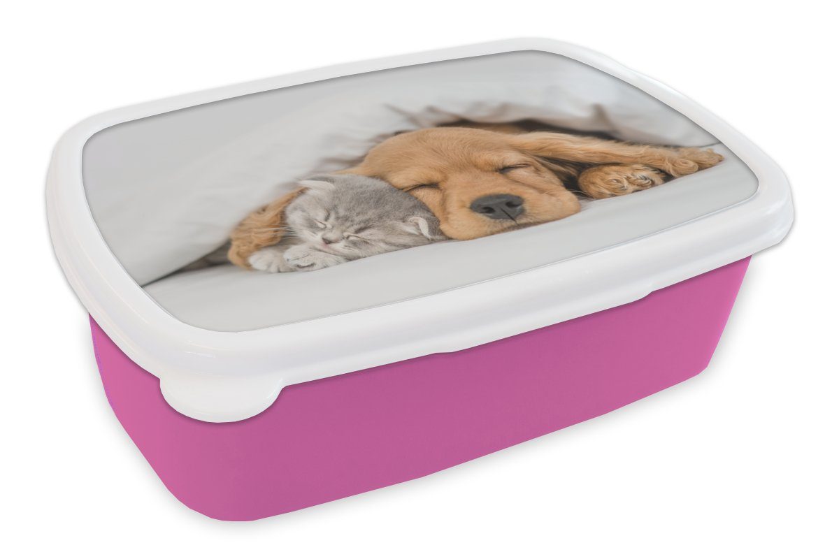 Decke, Erwachsene, - MuchoWow Lunchbox (2-tlg), Katze Brotdose für Kunststoff, Mädchen, Kunststoff Kinder, Brotbox rosa Snackbox, - Hund Haustiere -