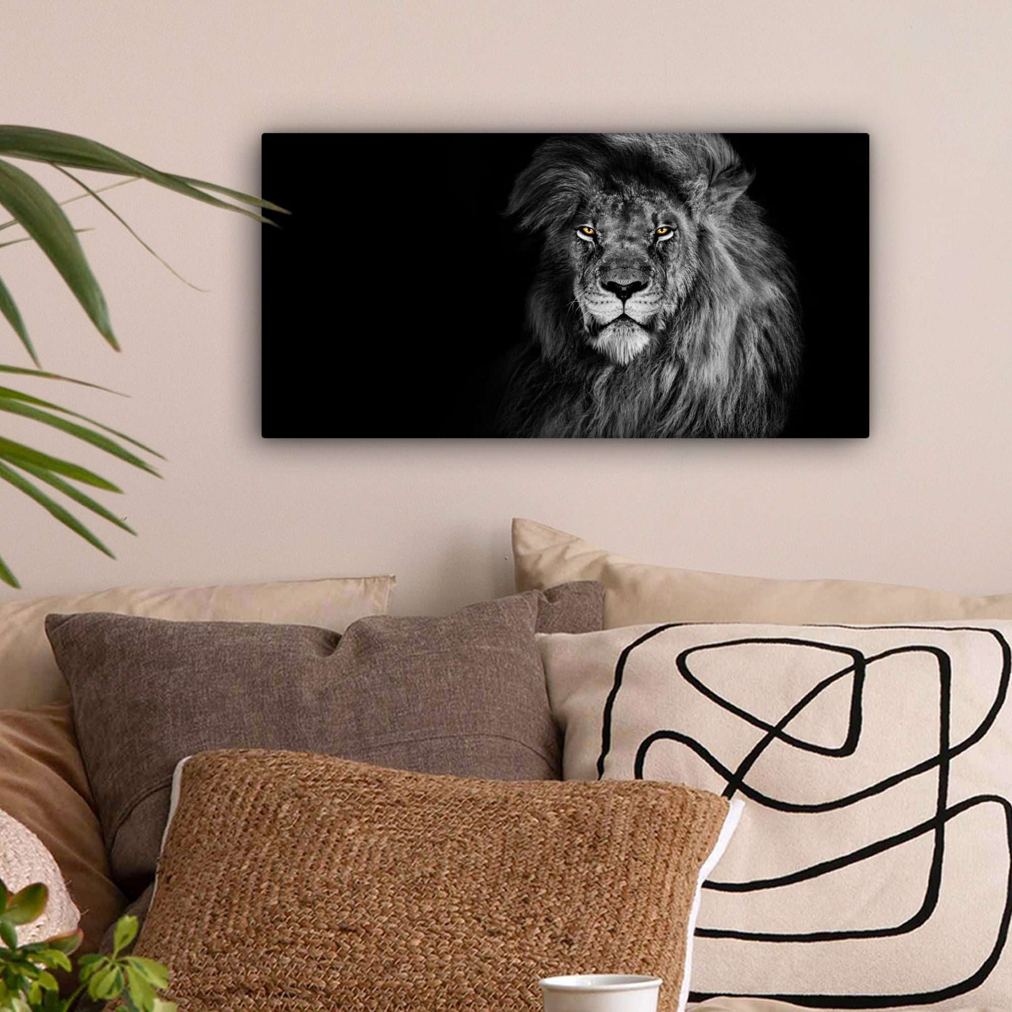OneMillionCanvasses® Leinwandbild Panorama Löwe - Augen günstig online kaufen