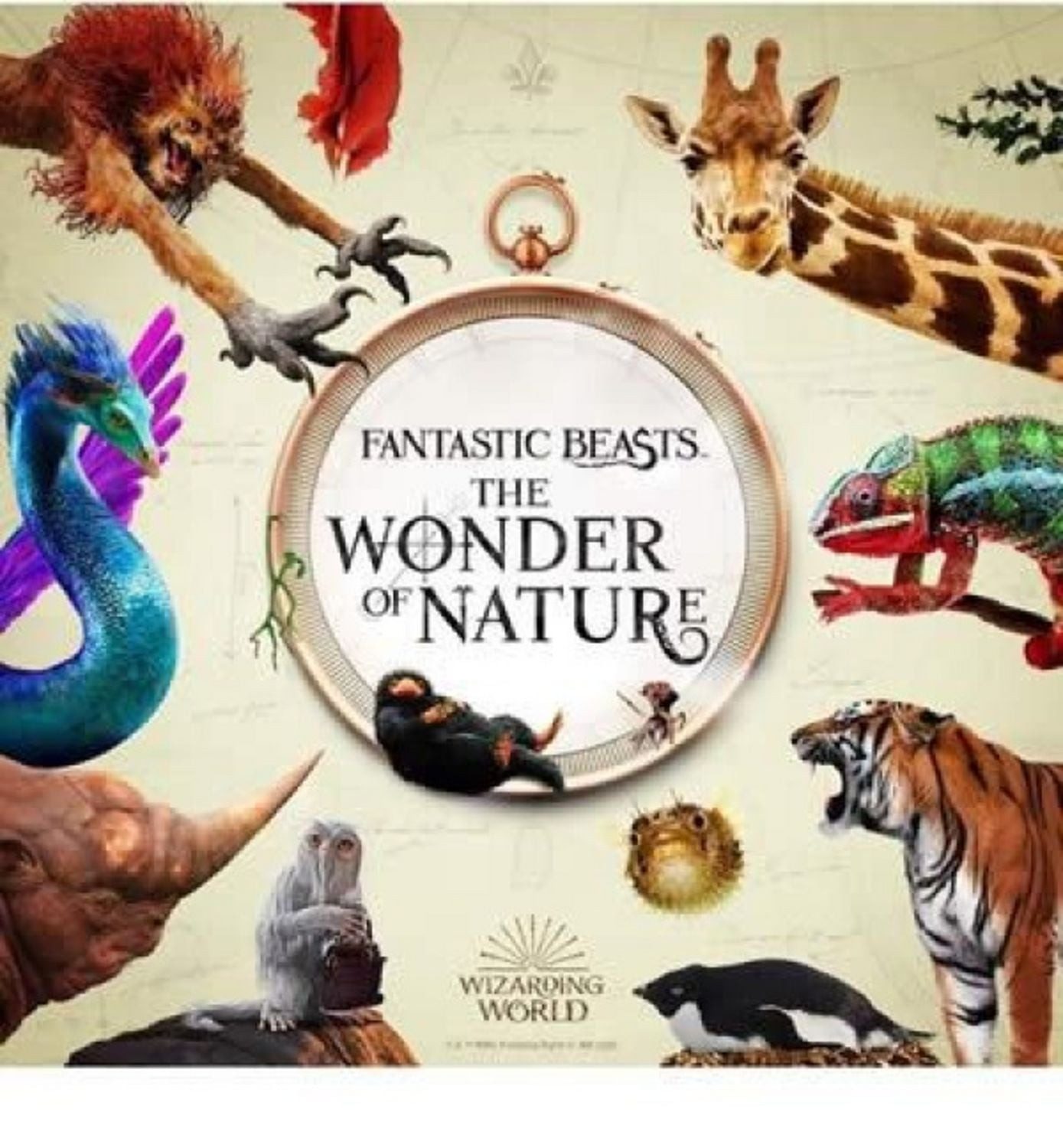 Fantastic Beasts: The Wonder of Nature / Natural History Museum