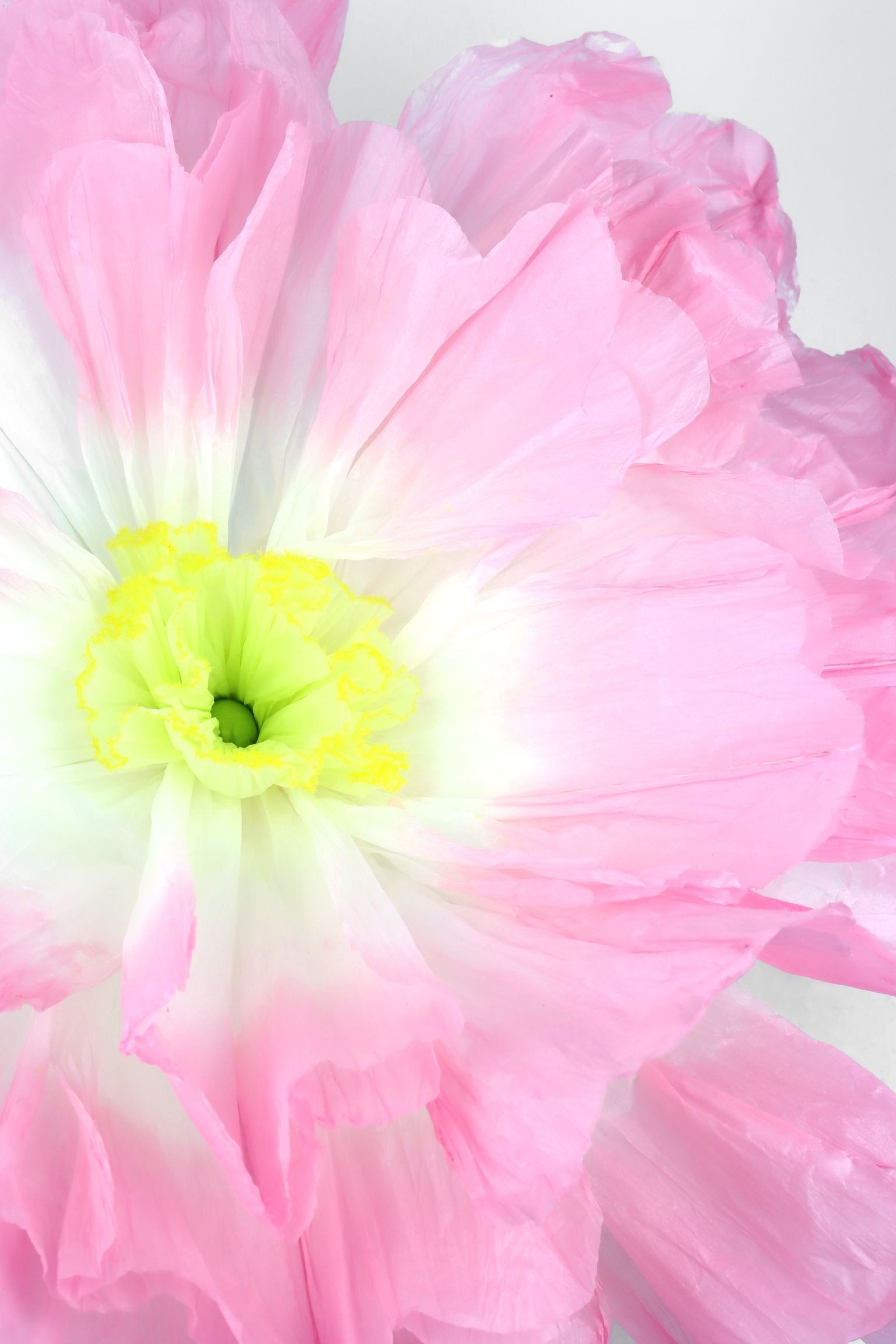 Kunstblume, FURNARO, Höhe 172 cm, Riesenblumen günstig online kaufen