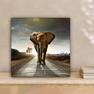 OneMillionCanvasses® Leinwandbild Elefant - Straße - Tiere - Sonnenuntergang - Landschaft, Elefant - Sonnenuntergang (1 St), Leinwand Bilder für Wohnzimmer Schlafzimmer, 20x20 cm