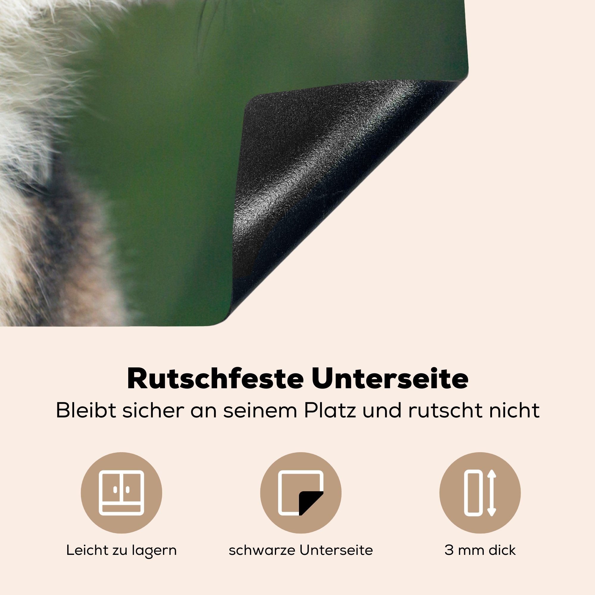 Herdblende-/Abdeckplatte Natur, tlg), Vinyl, - Arbeitsplatte küche (1 83x51 - cm, Lemur Ceranfeldabdeckung, Jung MuchoWow für