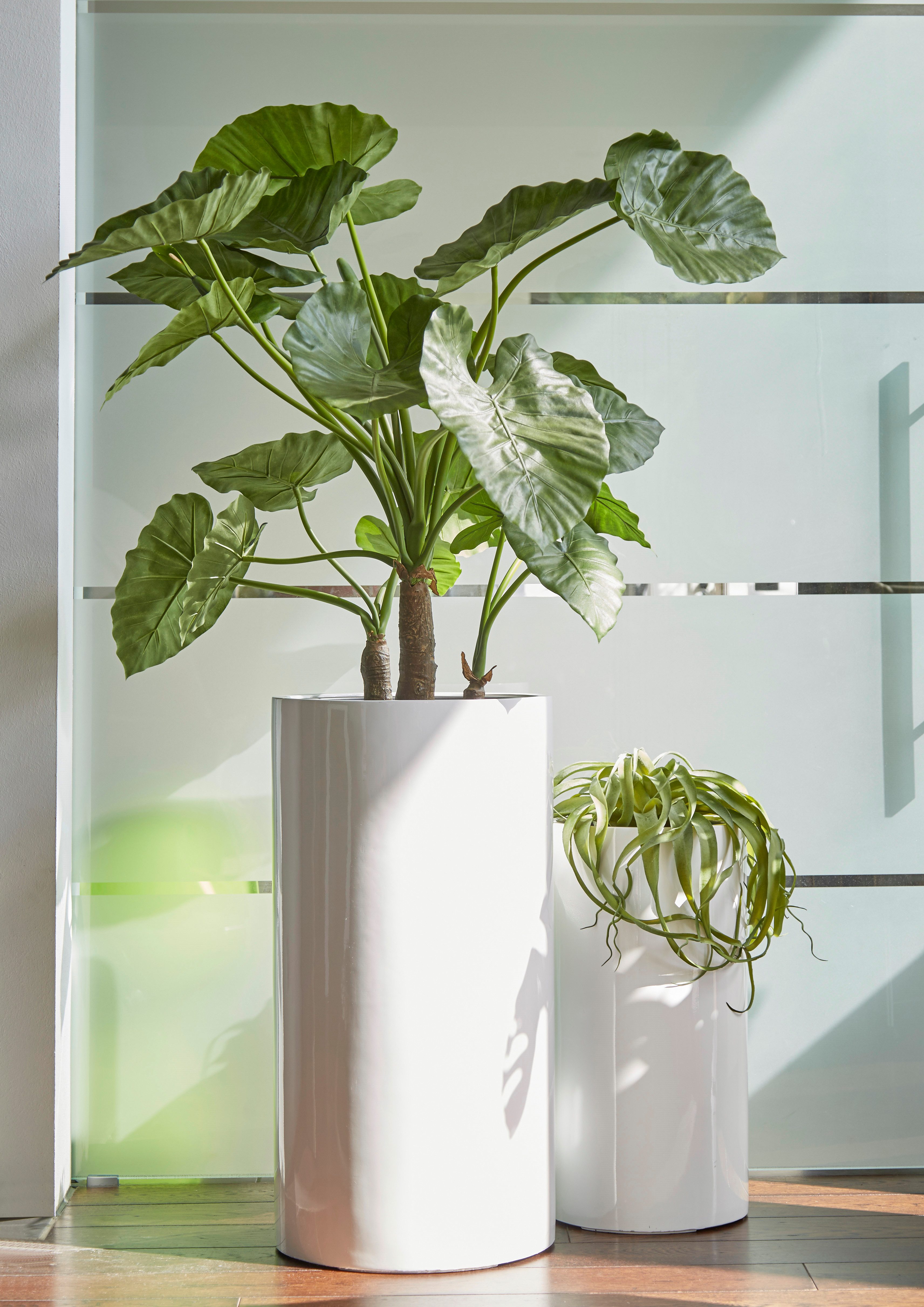 Flingora Bodenvase Tory, mit Einsatz - Fiberglas - Indoor & Outdoor - Weiß - Höhe 80 cm
