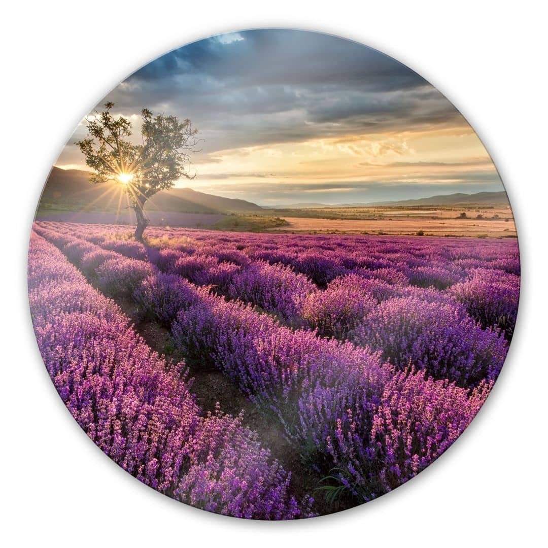 K&L Wall Art Glasbild Glas Wandbild Rund Glasbild Lavendelblüte in der Provence, Wandschutz Deko Bilder