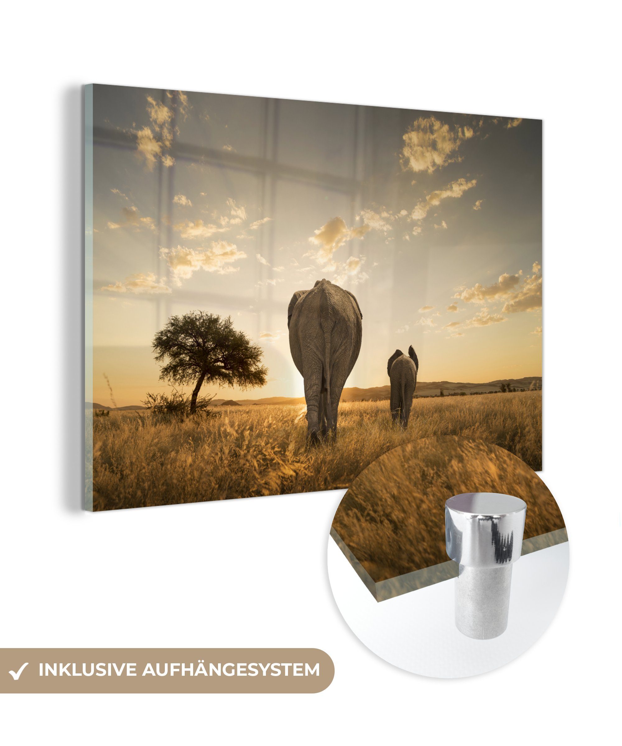 MuchoWow Acrylglasbild Savanne für Elefanten und Kälber, (1 St), Acrylglasbilder Wohnzimmer & Schlafzimmer bunt