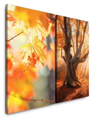 Sinus Art Leinwandbild 2 Bilder je 60x90cm Herbst Laub großer Baum Sonnenstrahlen warmes Licht Beruhigend positive Energie