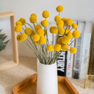 Trockenblume Getrocknete Blumen, 20 Stück Gelb Kugeln Strauß für Heimwerker, Juoungle