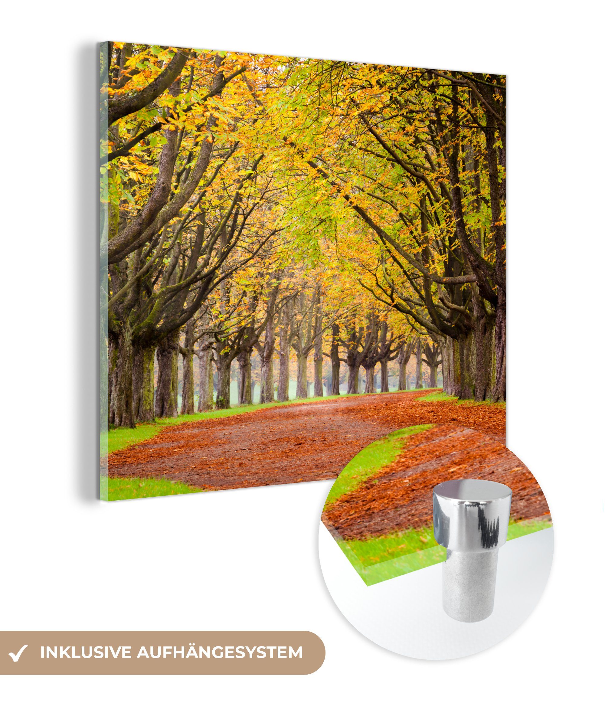 MuchoWow Acrylglasbild Kastanienbäume im Herbst, (1 St), Glasbilder - Bilder auf Glas Wandbild - Foto auf Glas - Wanddekoration