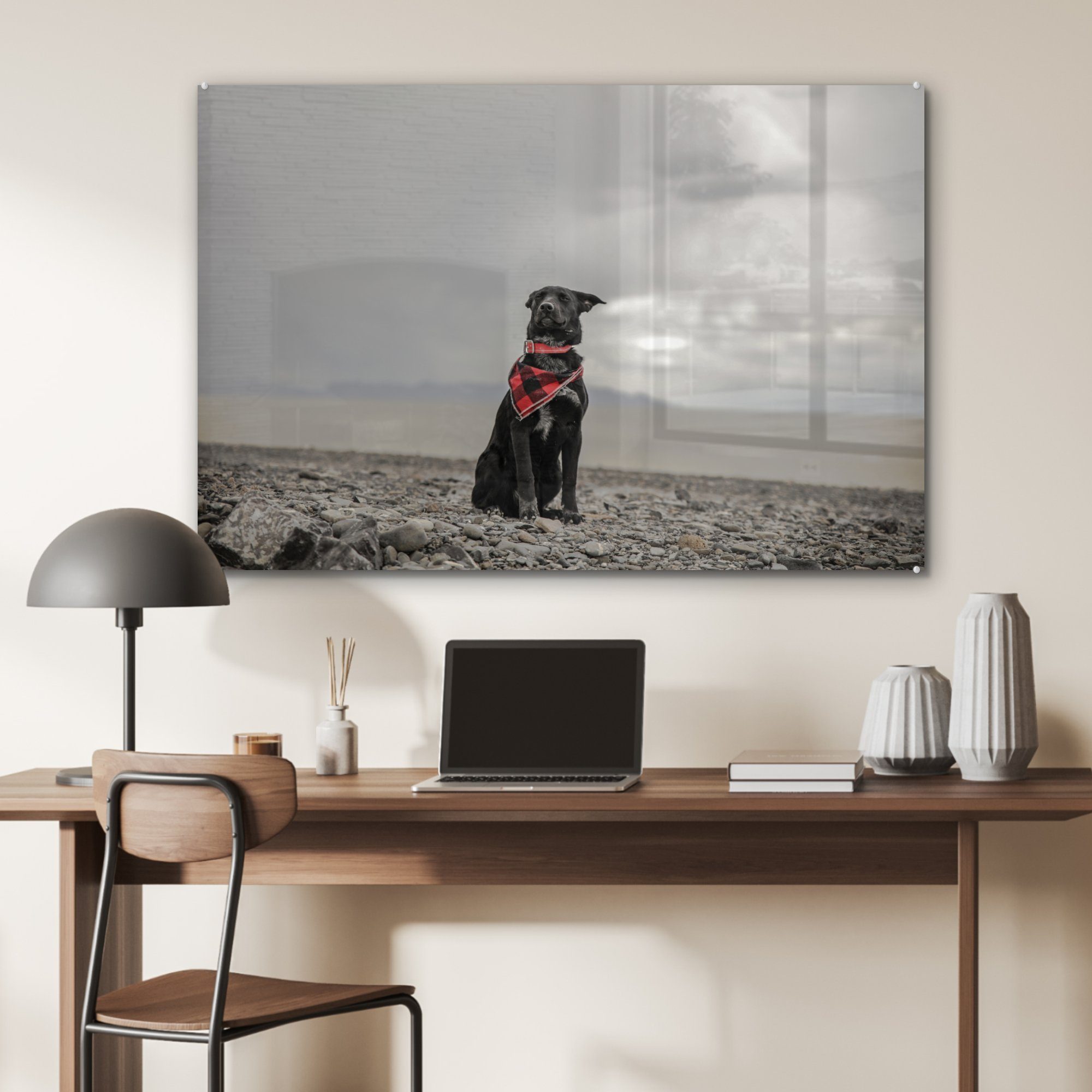 Acrylglasbilder (1 St), Acrylglasbild MuchoWow Strand Wolke, - Schlafzimmer - Hund & Wohnzimmer