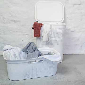 ROTHO Wäschekorb Brisen Wäschesammler 50l mit Deckel und 2 Griffen, Kunststoff (PP) BPA-frei, Löcher an den Seiten ermöglicht Luftzirkulation innerhalb der Wäschebox
