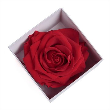 Kunstblume Infinity Rose in Box weiß I LOVE YOU Geschenk Frauen Liebesbeweis Rose, ROSEMARIE SCHULZ Heidelberg, Höhe 6 cm, Rose haltbar bis zu 3 Jahre