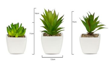 Künstliche Zimmerpflanze MID-Set Sukkulenten Sukkulente, joycraft, Höhe 11 cm, Wüstenpflanzenimitate im Porzellantopf