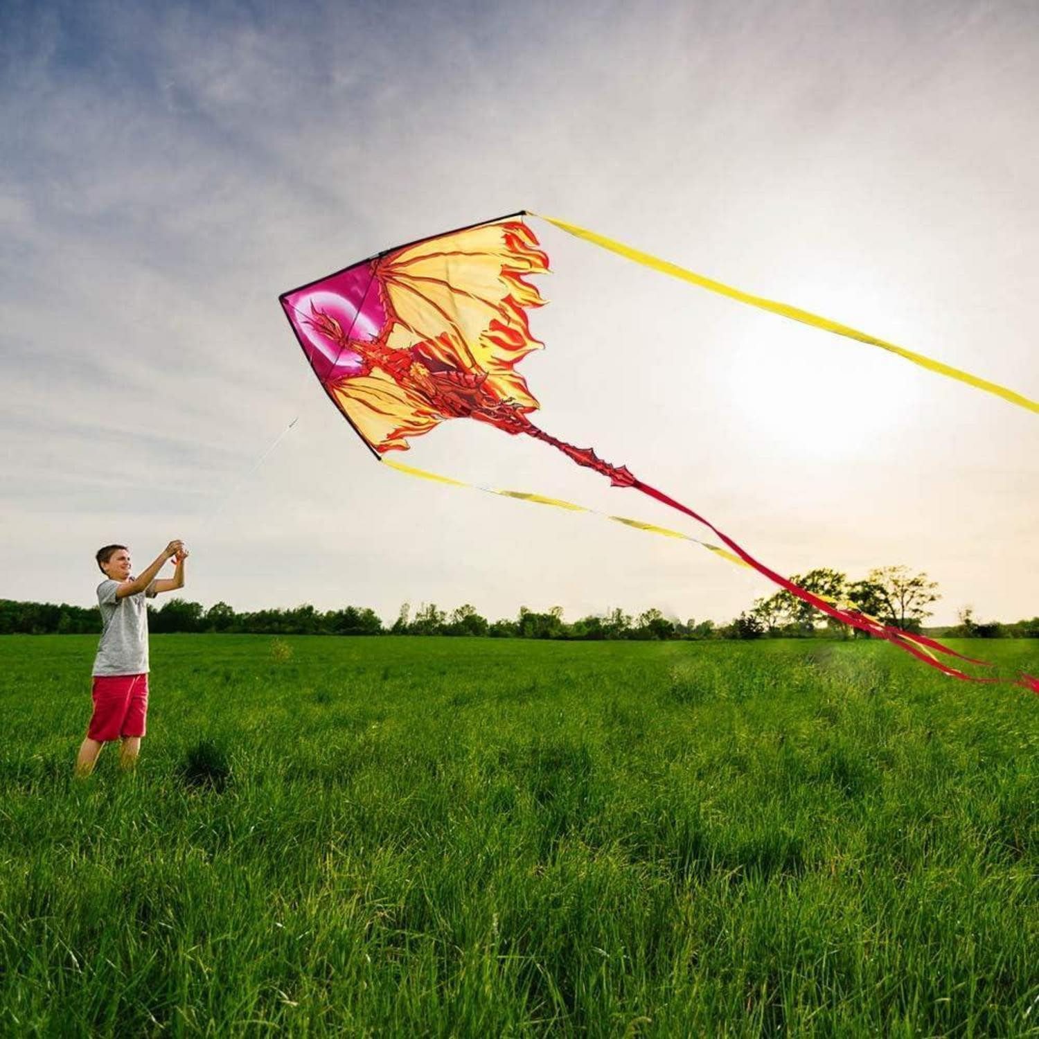 LuxusKollektion Flug-Drache Drachen Drache für Kinder Erwachsene, einleiner Drachenflieger