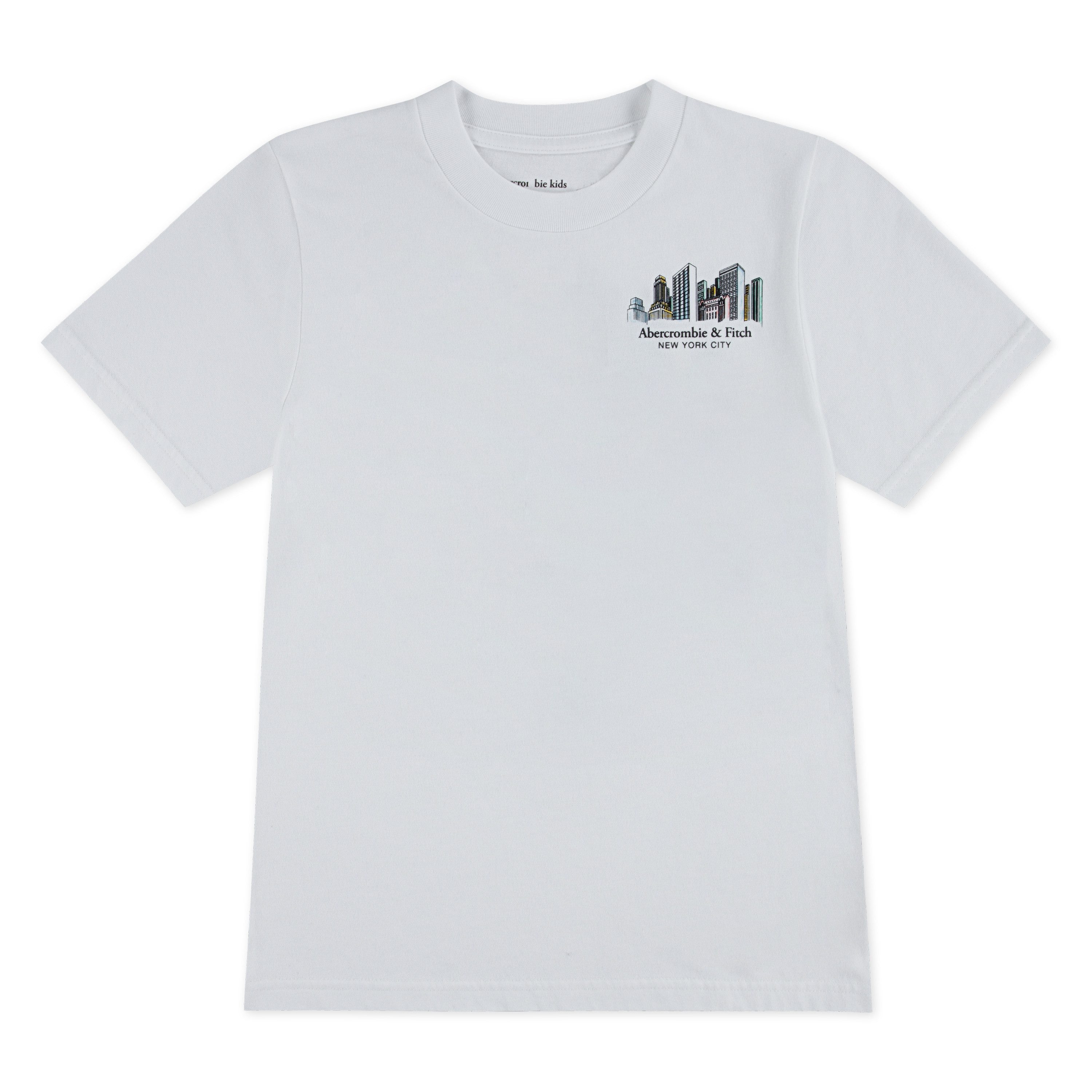 Abercrombie Kids Rundhalsshirt AFB NYC SKETCH TEE mit großem Rückenprint, für Boys