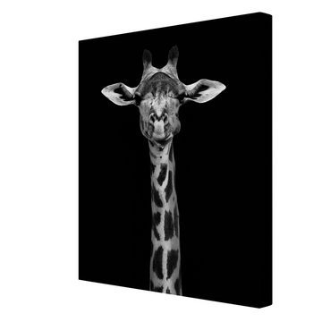 Bilderdepot24 Leinwandbild Tiere Portrait Giraffen Portrait schwarz weiss Bild auf Leinwand XXL, Bild auf Leinwand; Leinwanddruck in vielen Größen