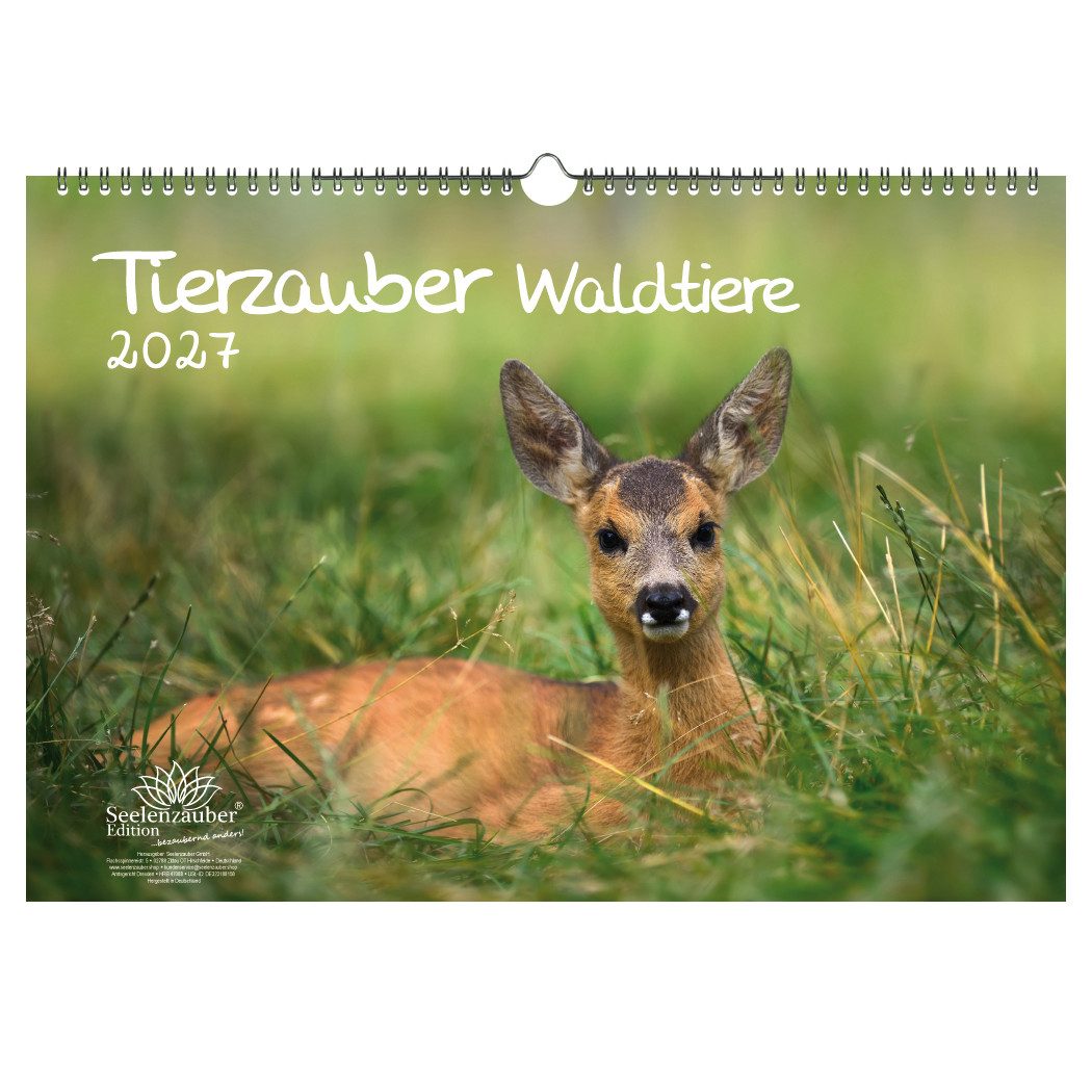 Seelenzauber Wandkalender Tierzauber Waldtiere DIN A3 Kalender 2027 Tiere im Wald - Seelenzauber