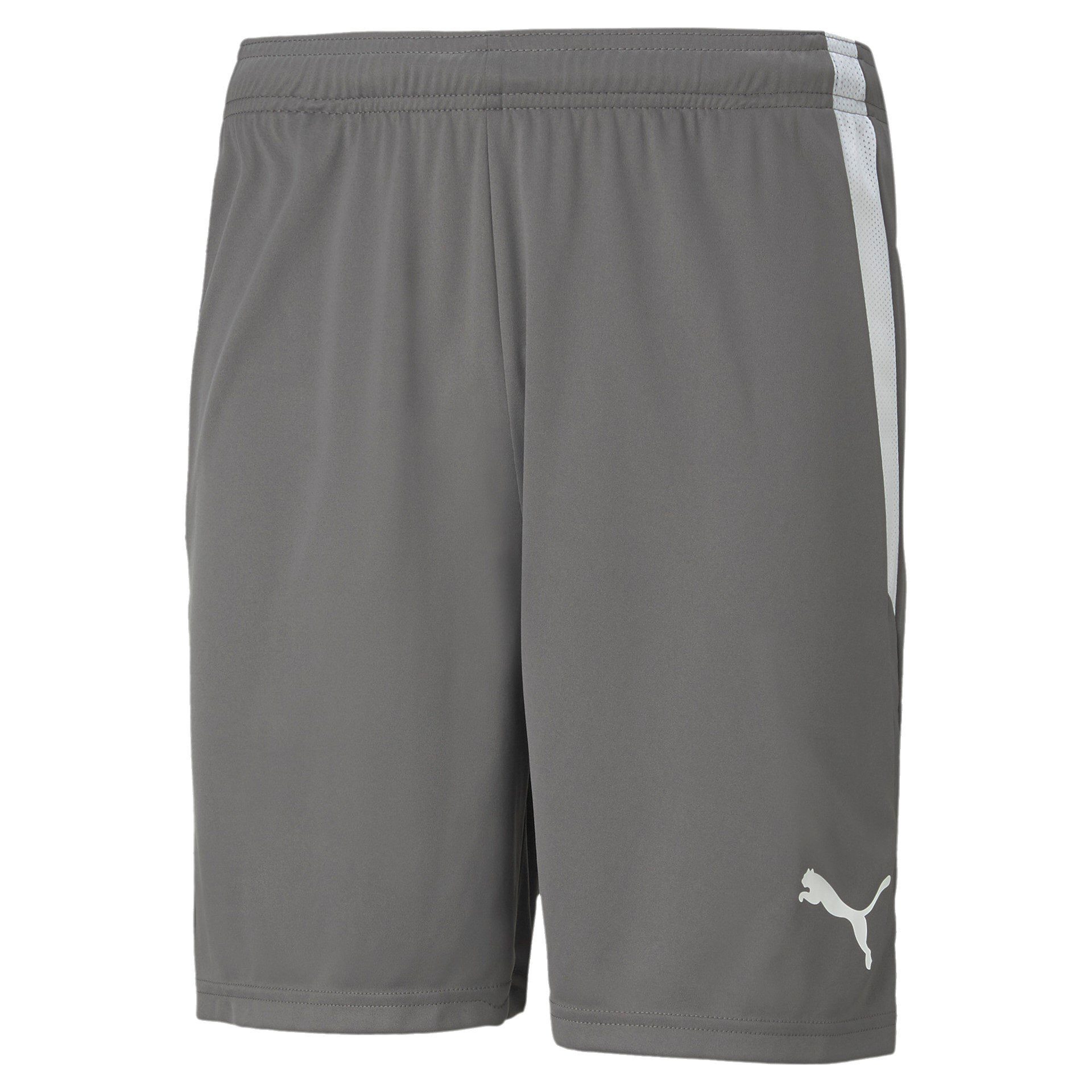 PUMA Sporthose teamLIGA Shorts kurz grau günstig online kaufen