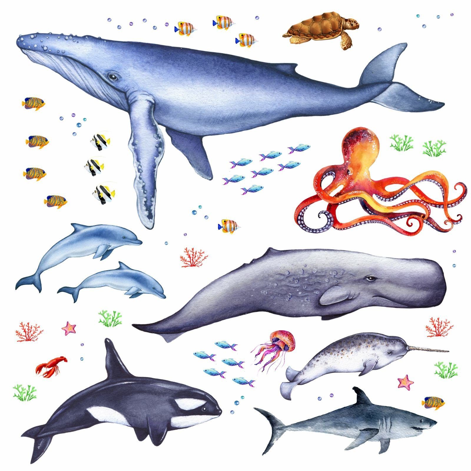 nikima Wandtattoo 166 Tiere der Meere - Blauwal, Hai, Delfin, Orca (PVC-Folie), in 6 vers. Größen