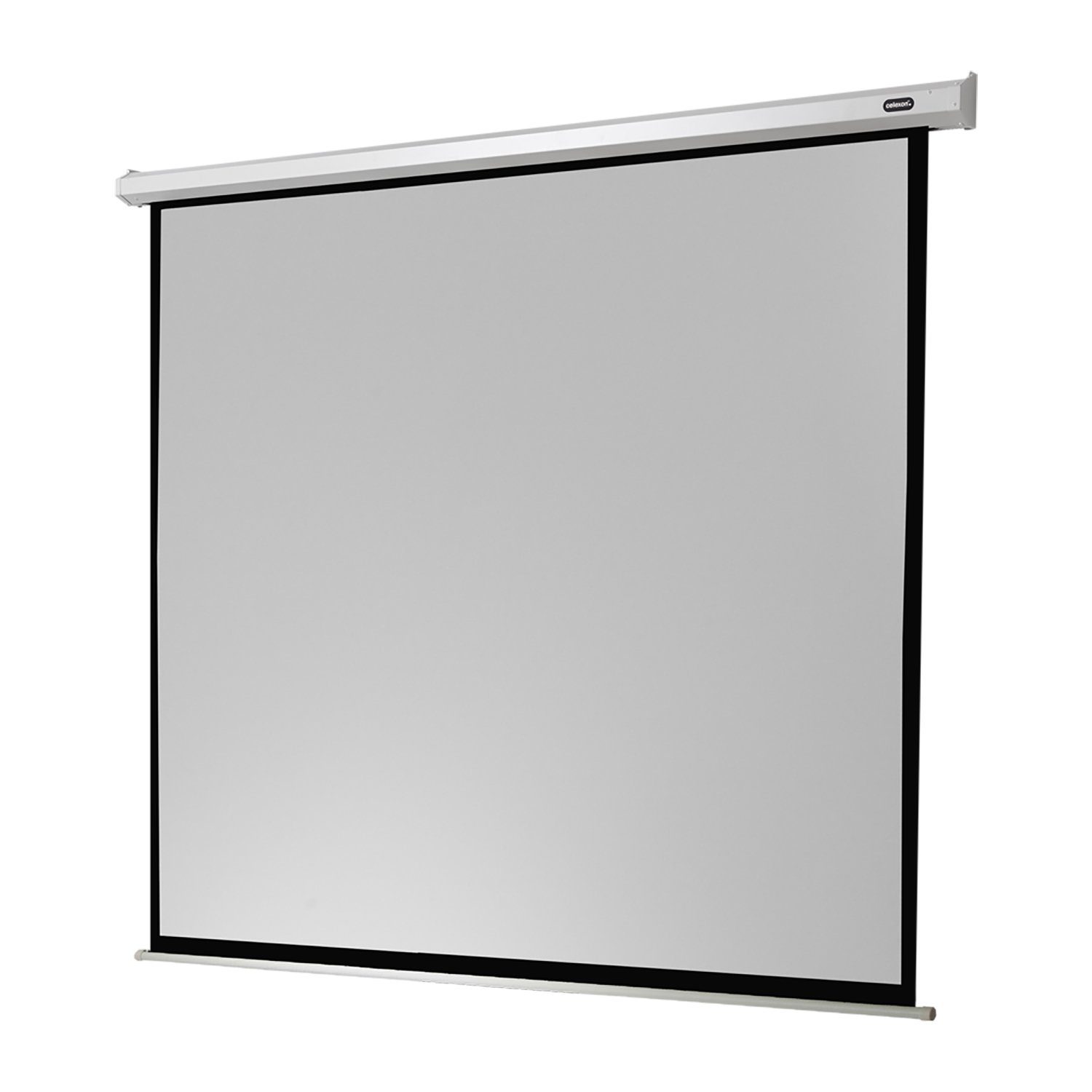 Celexon 1:1, x Motorleinwand 270cm, (270 1,2) Gain Economy