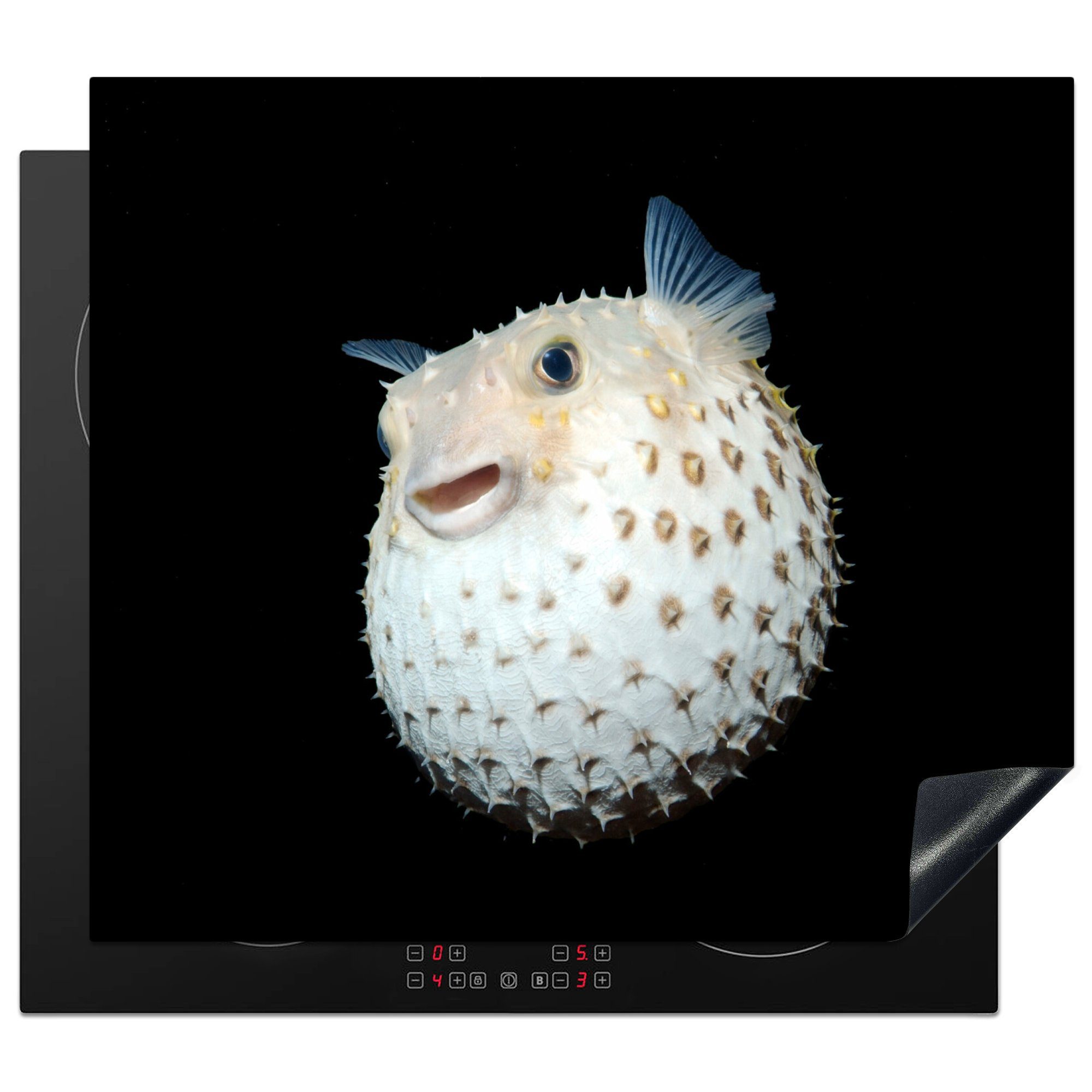Fische tlg), Meerestiere 59x52 - Ceranfeldabdeckung cm, Porträt, MuchoWow Induktionsmatte - (1 Vinyl, die für küche, Herdblende-/Abdeckplatte
