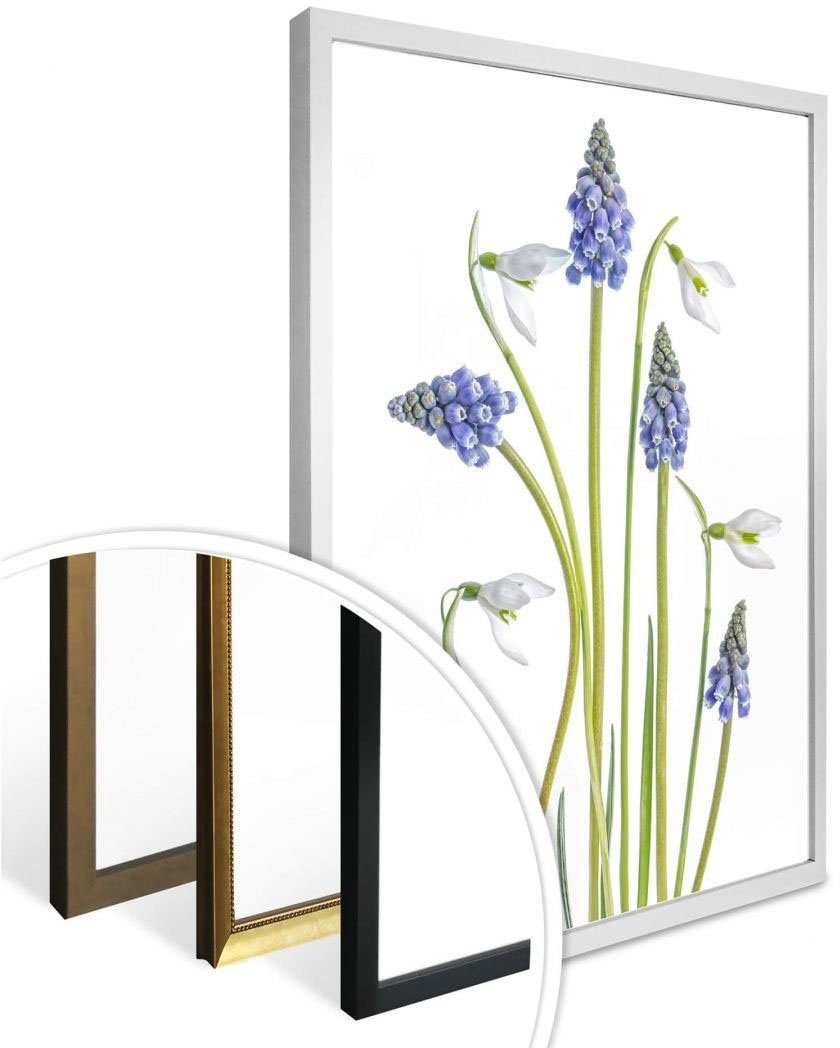 Wall-Art Poster Frühjahrsblüher, Blumen St) (1