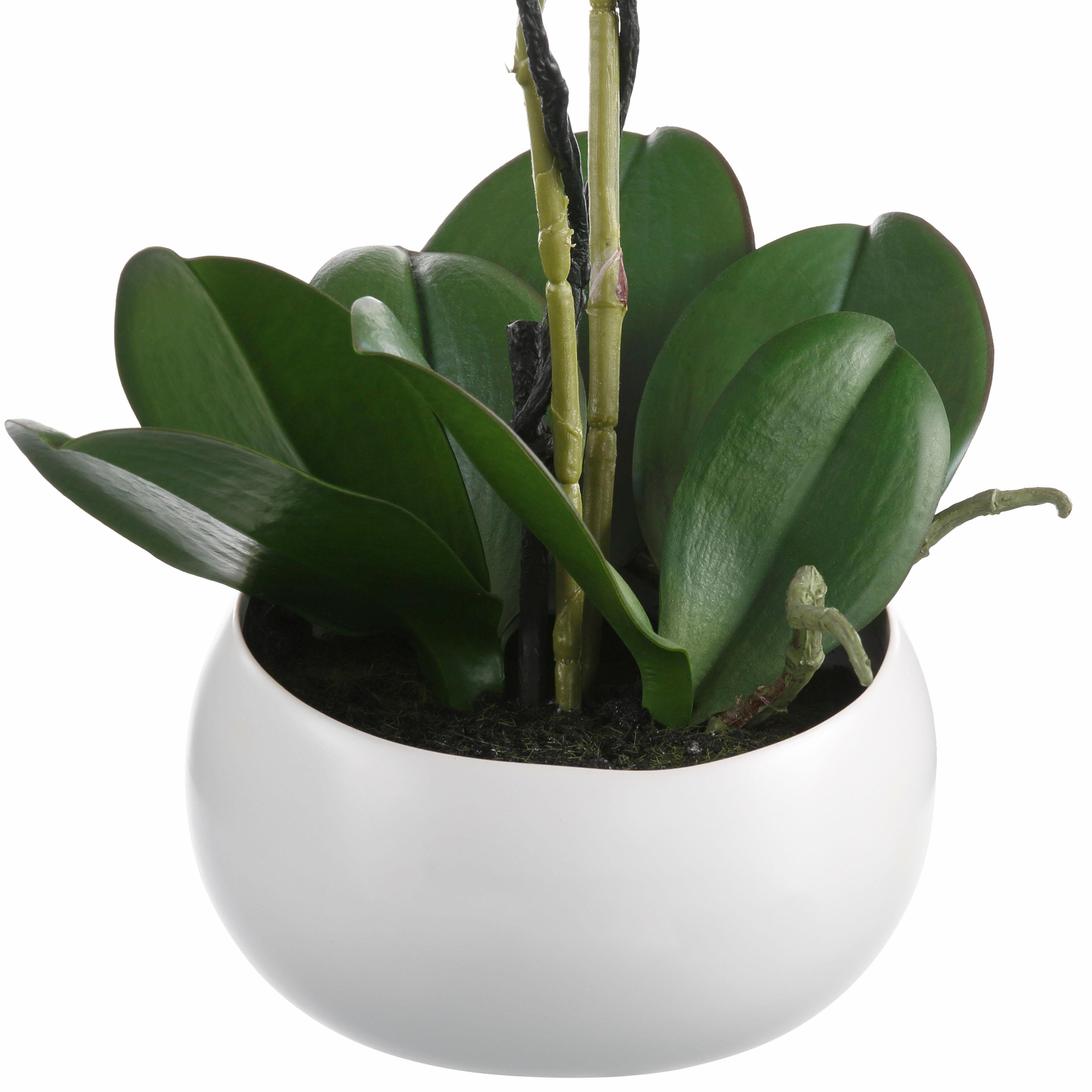 Kunstpflanze Orchidee Orchidee, Creativ green, Höhe 42 cm günstig online kaufen
